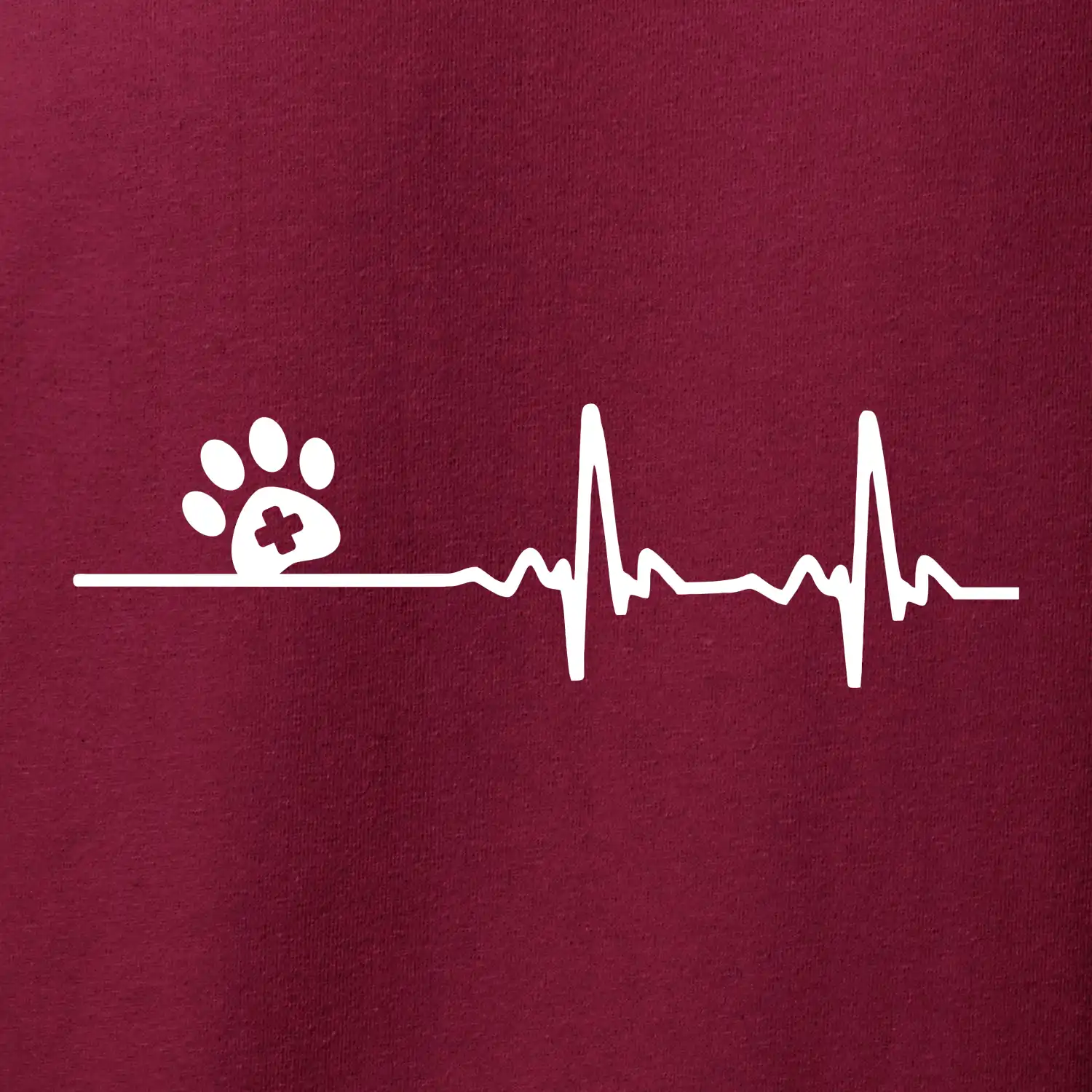 Veterinář EKG