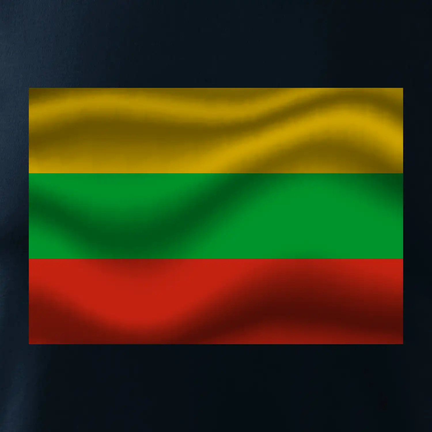Litva vlajka obdélník