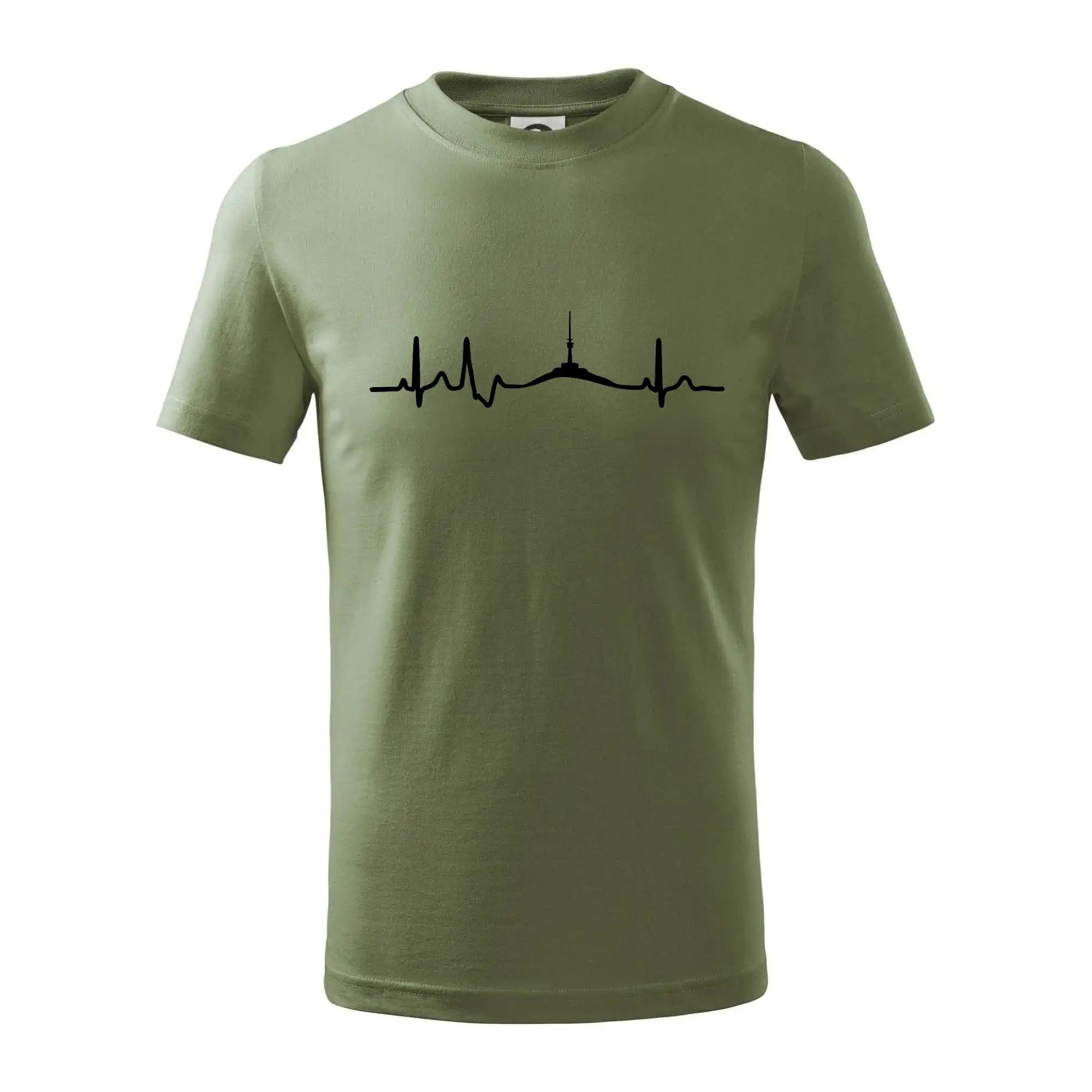 Ekg Jeseníky