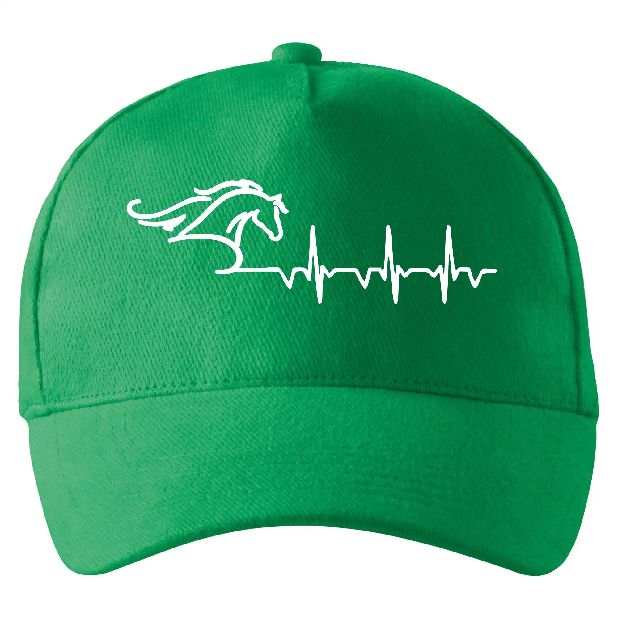 Hlava koně EKG