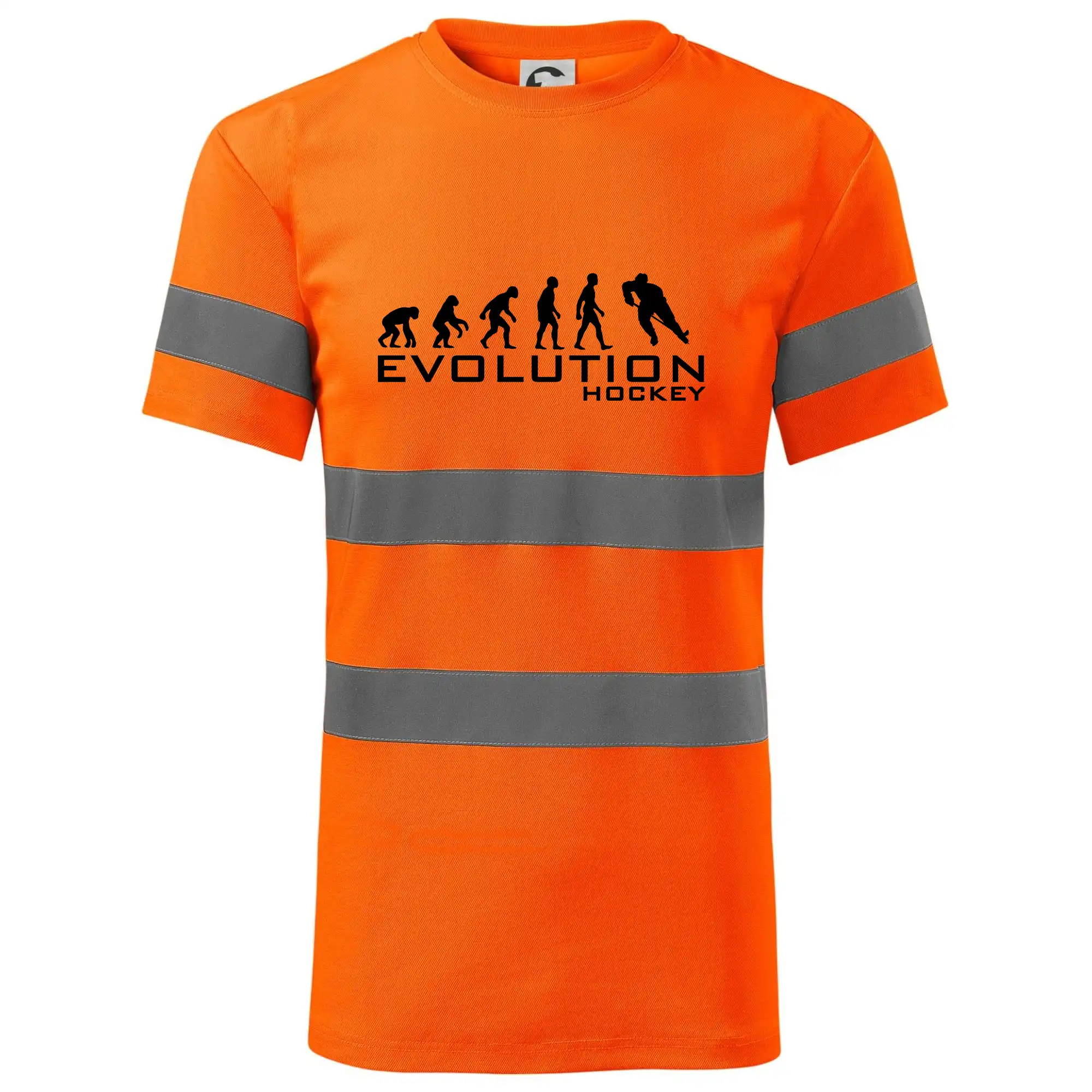 Evoluce Hockey - hráč