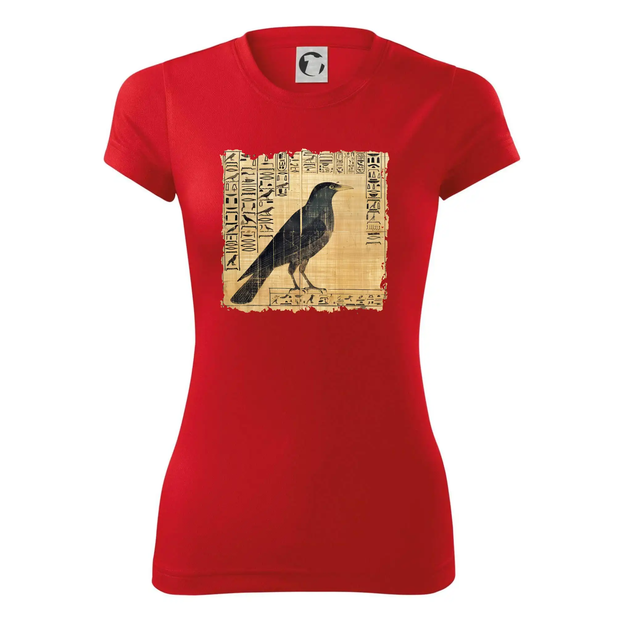 Egyptské hieroglyfy pták