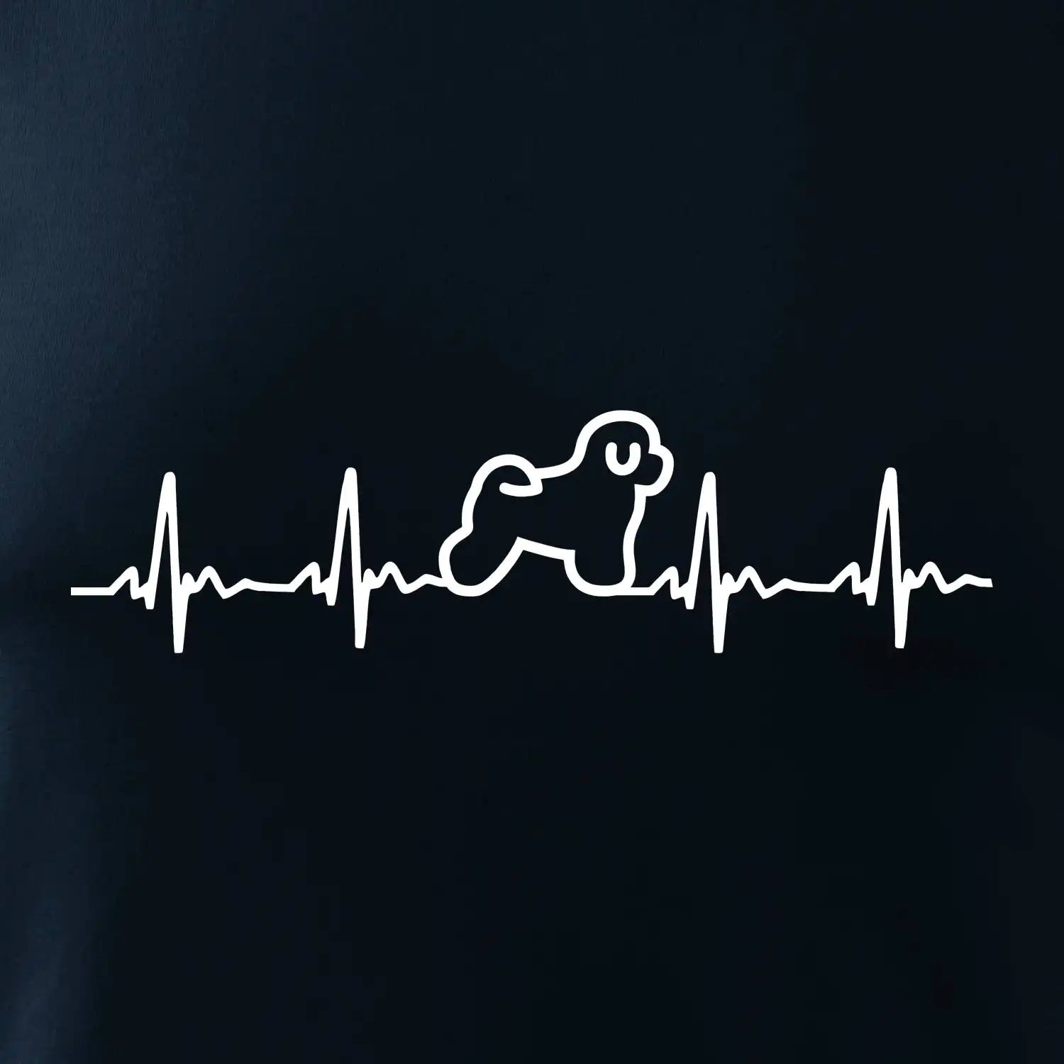 Bišonek ekg