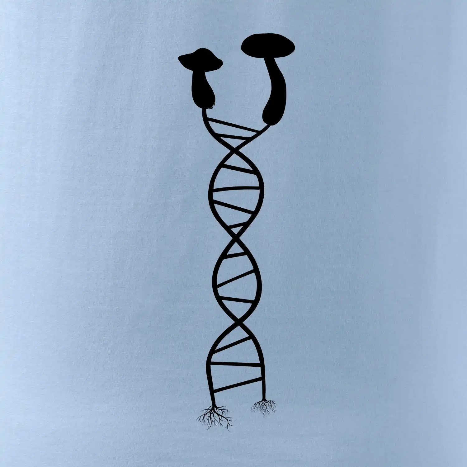 DNA houby