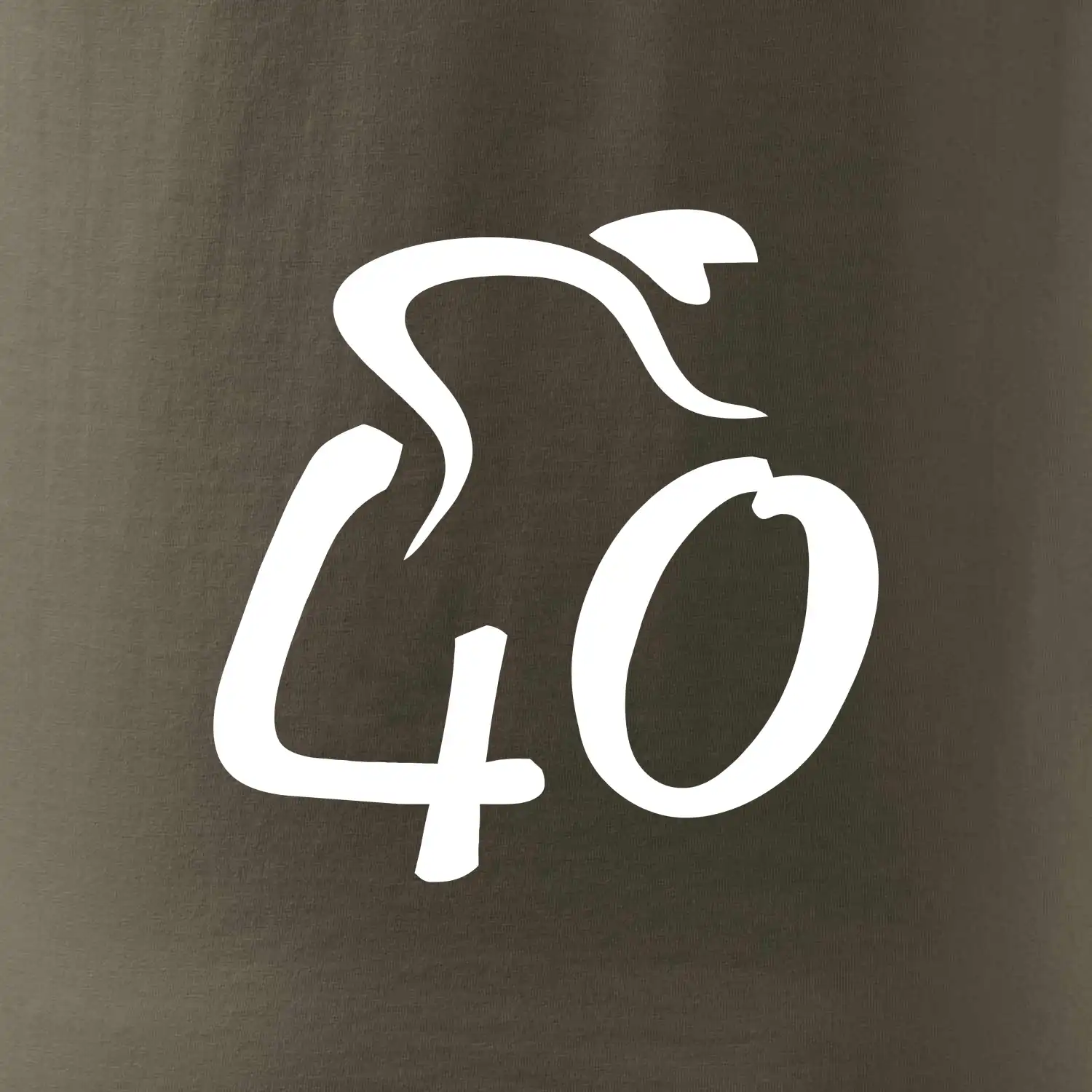 Cyklista slaví čtyřicítku (40)