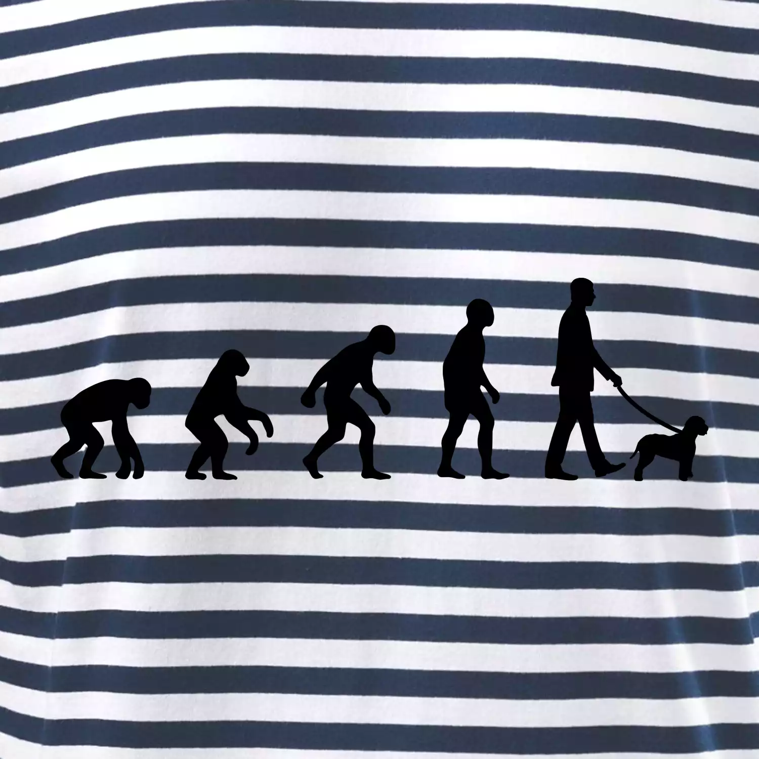 Lagotto romagnolo Evoluce muž / žena