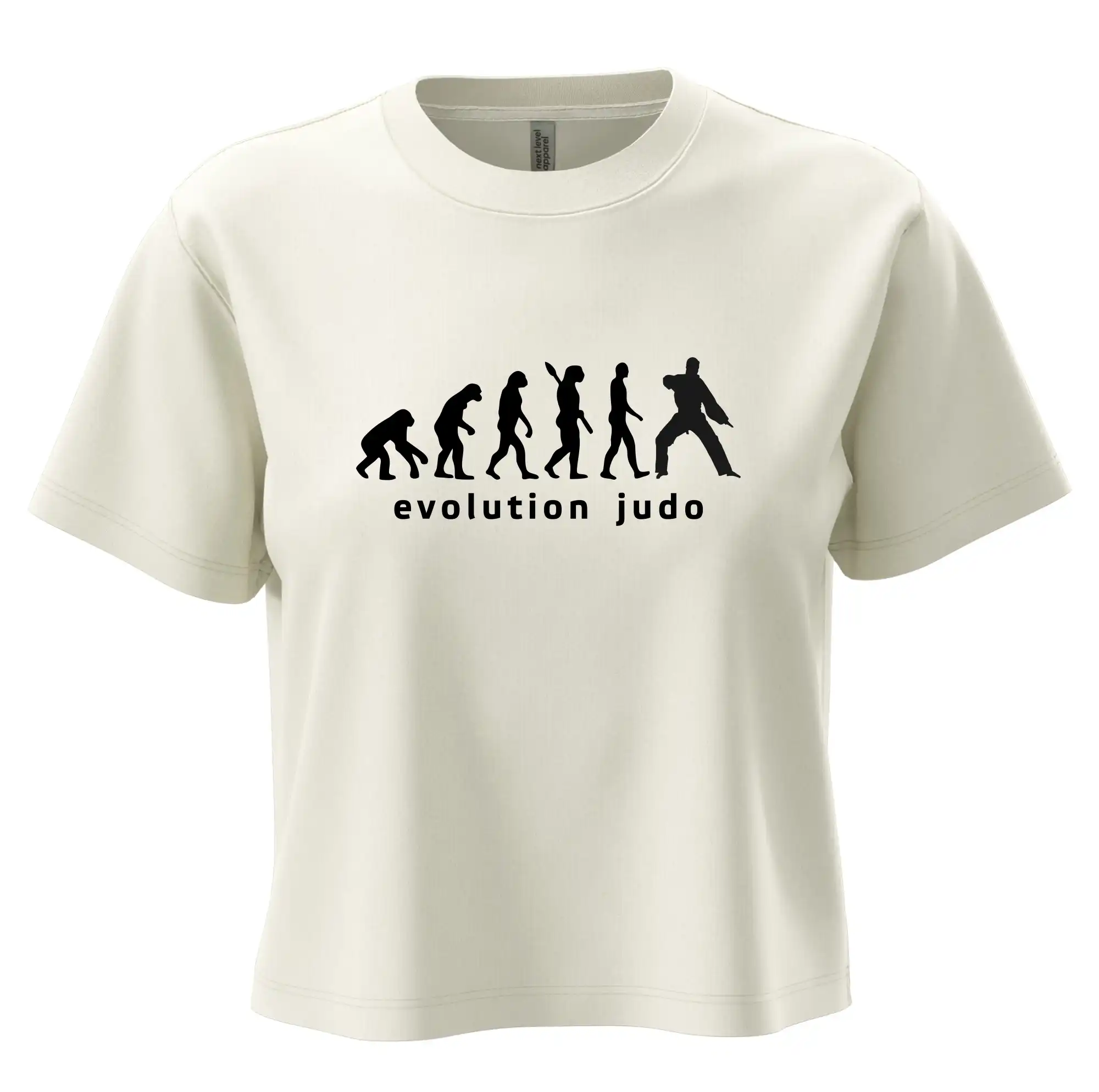 Judo evoluce - úder