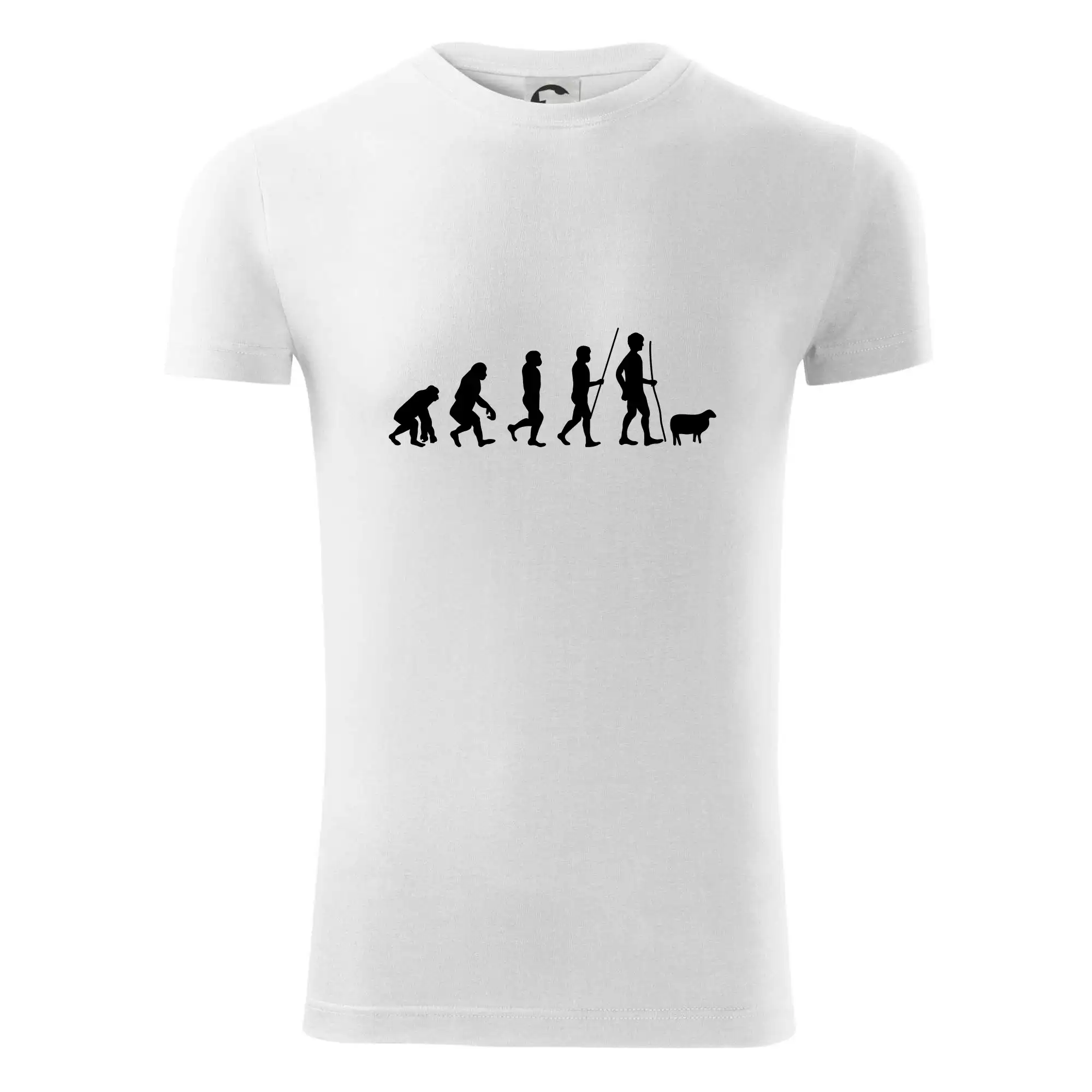 Evoluce pastevec ovcí