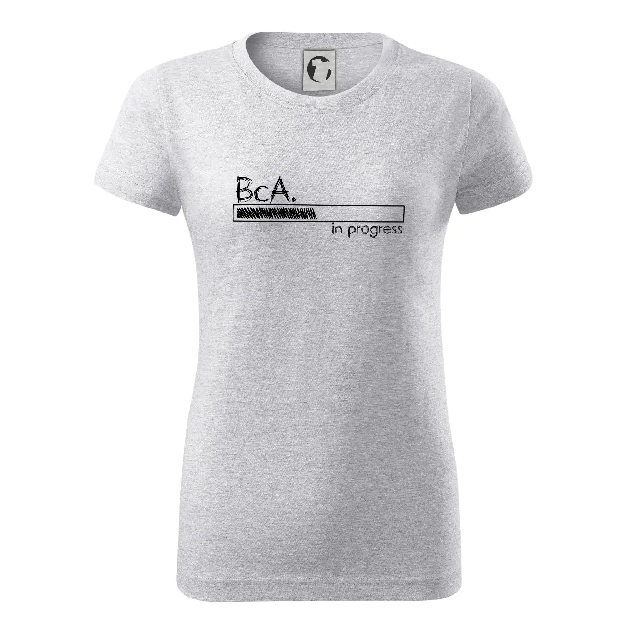 In progress  titul BcA. bakalář / bakalářka umění