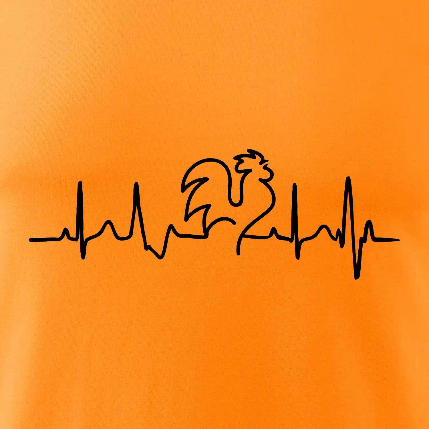 Kohout ekg