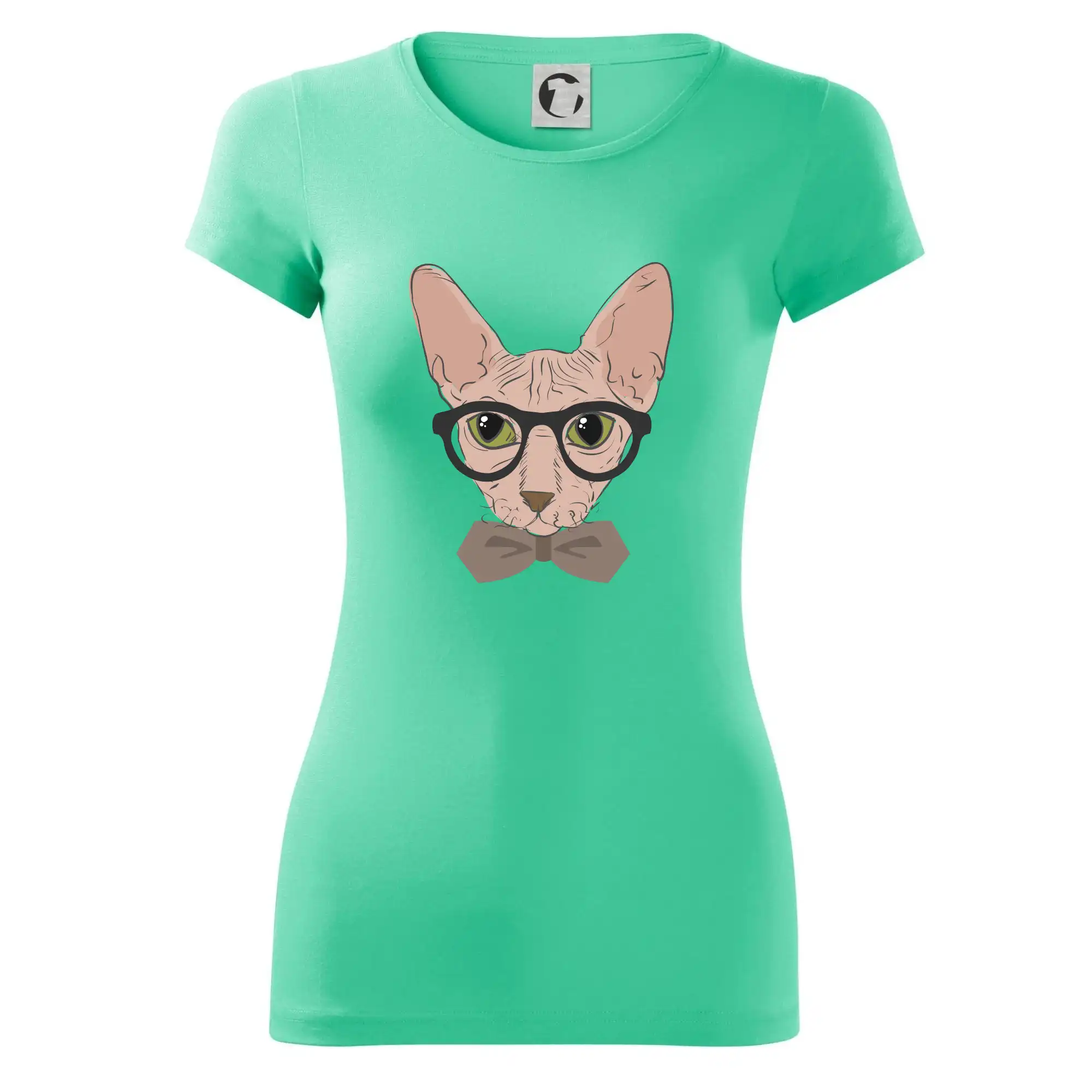 Hipster sphynx