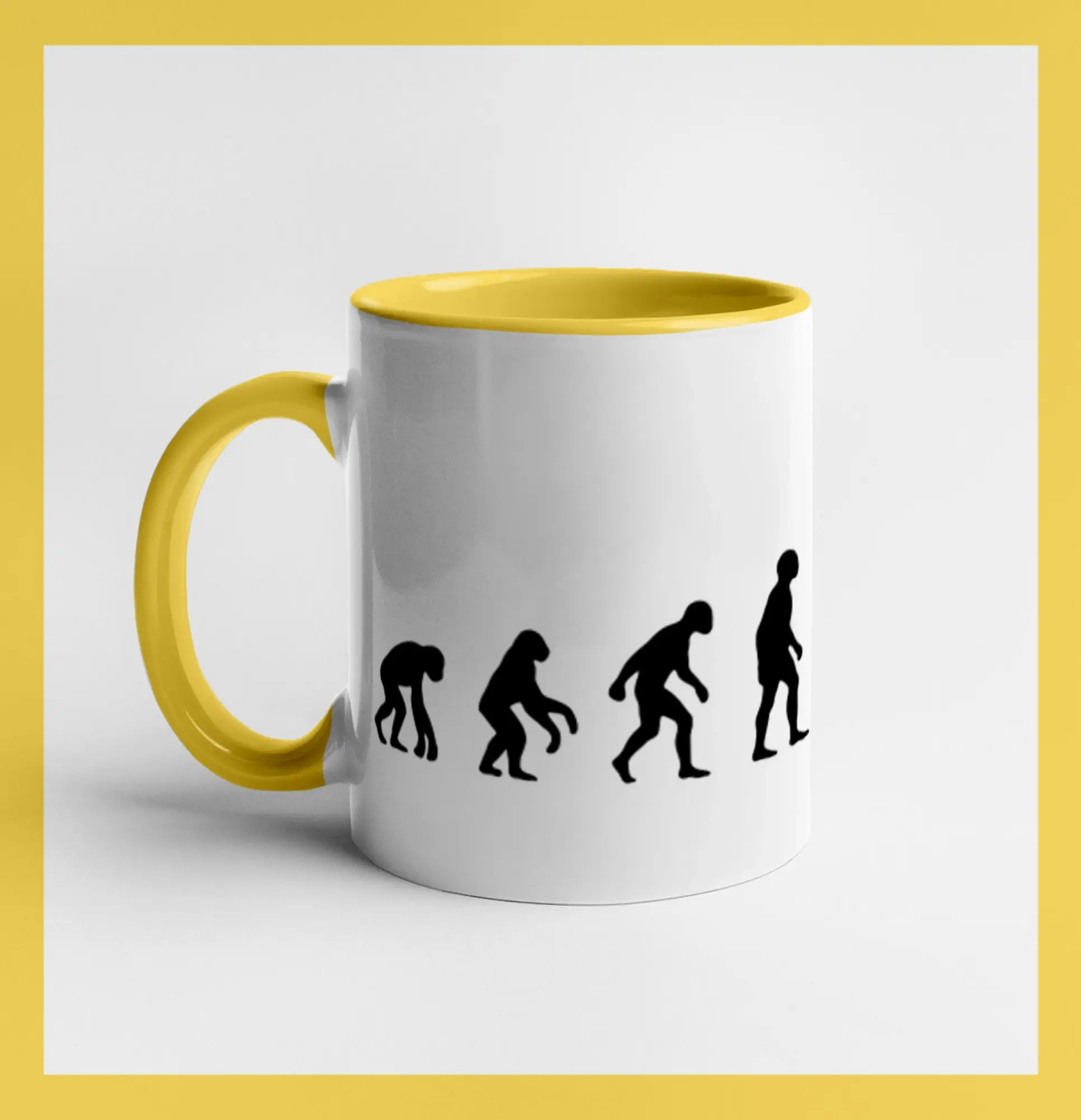 Evolúcia lešenia