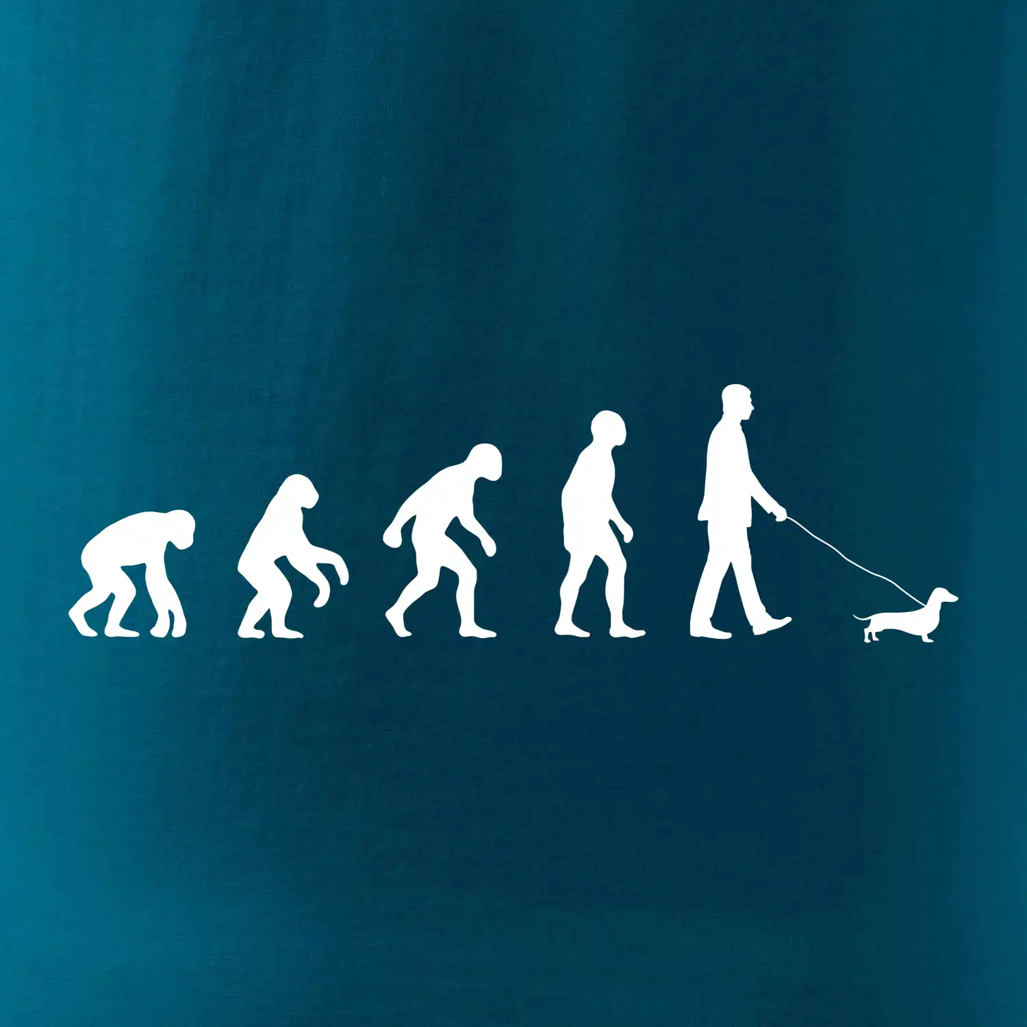 Jezevčík Evoluce muž / žena