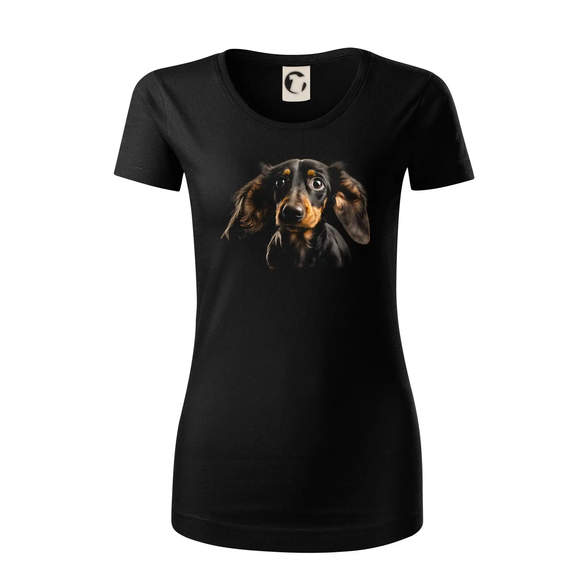 Jezevčík fotka jen hlava