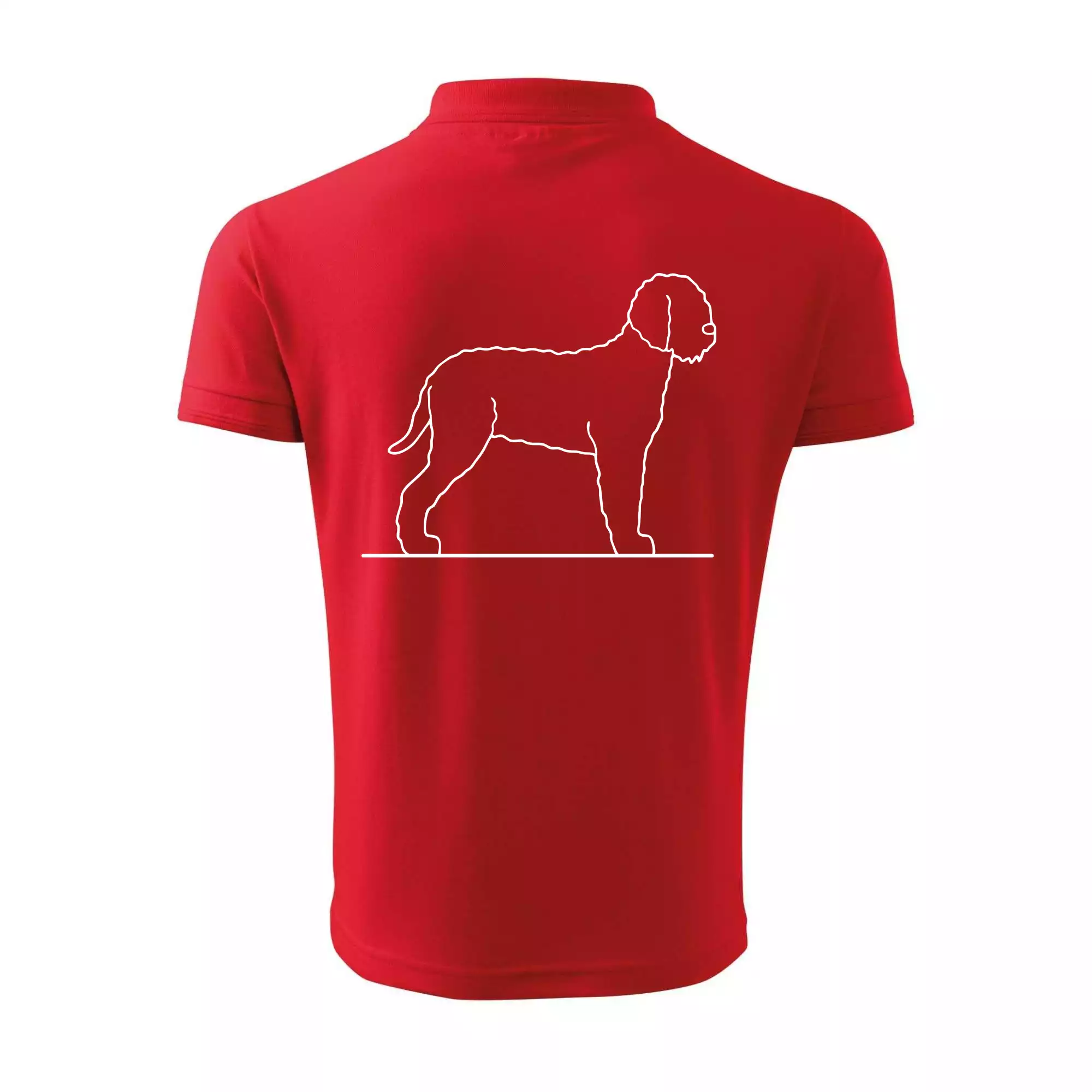 Lagotto romagnolo stojící