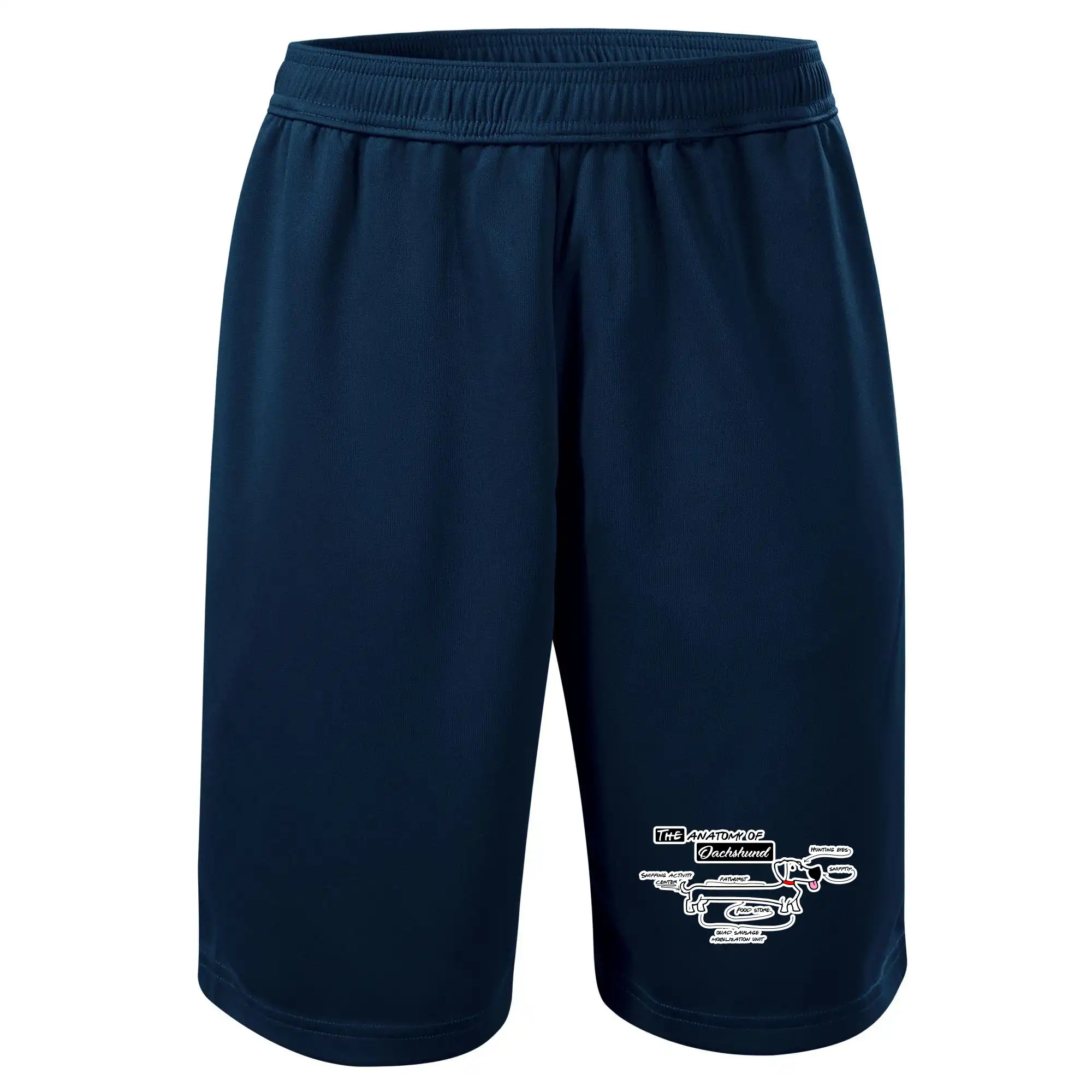 Jezevčík - Anatomie