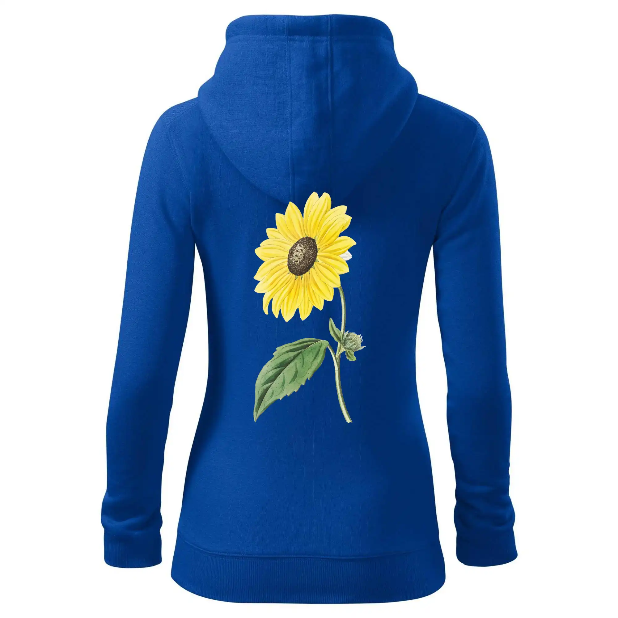 Slunečnice otočená