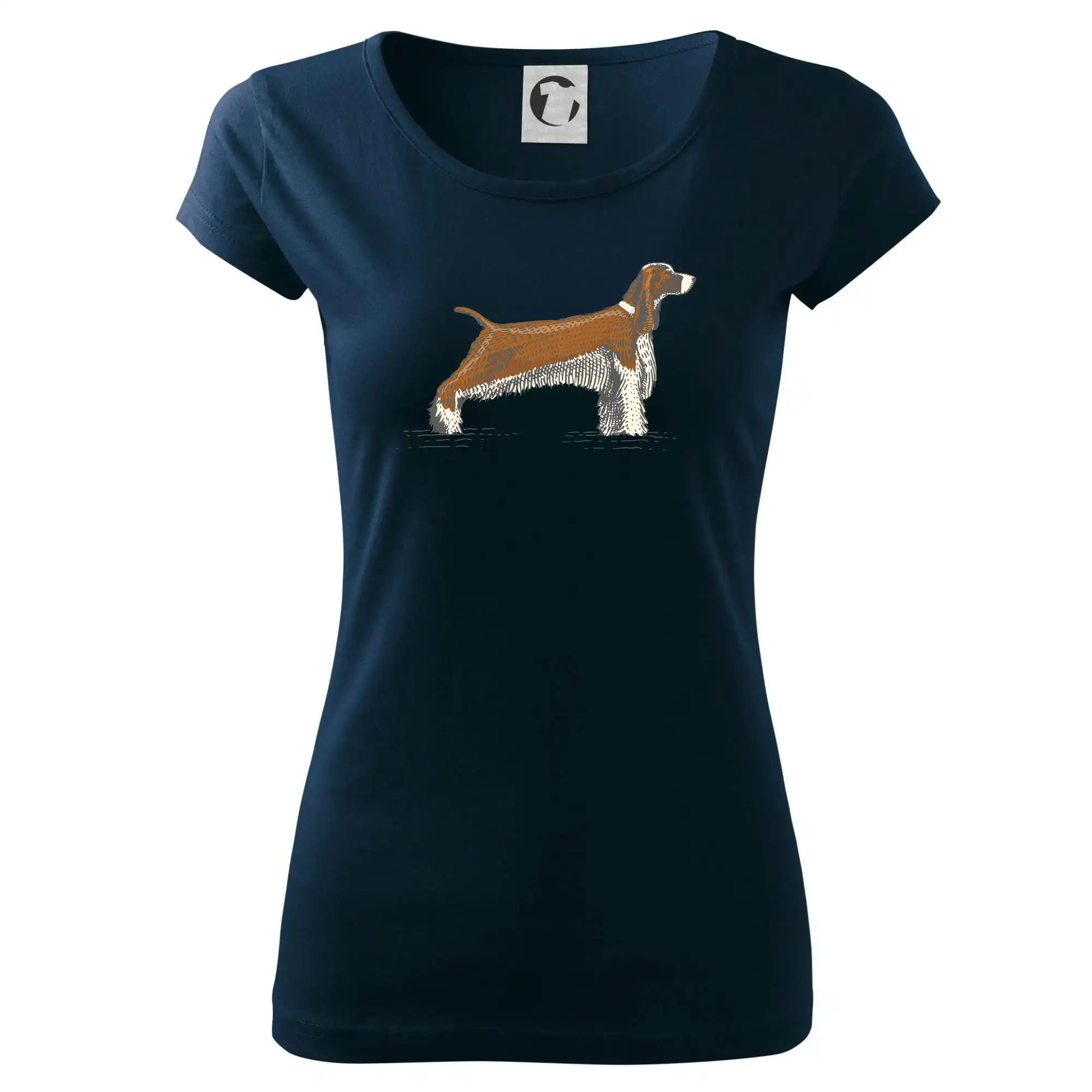 Vintage Springer spaniel