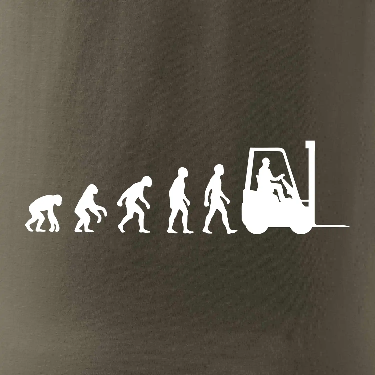 Evoluce ještěrka