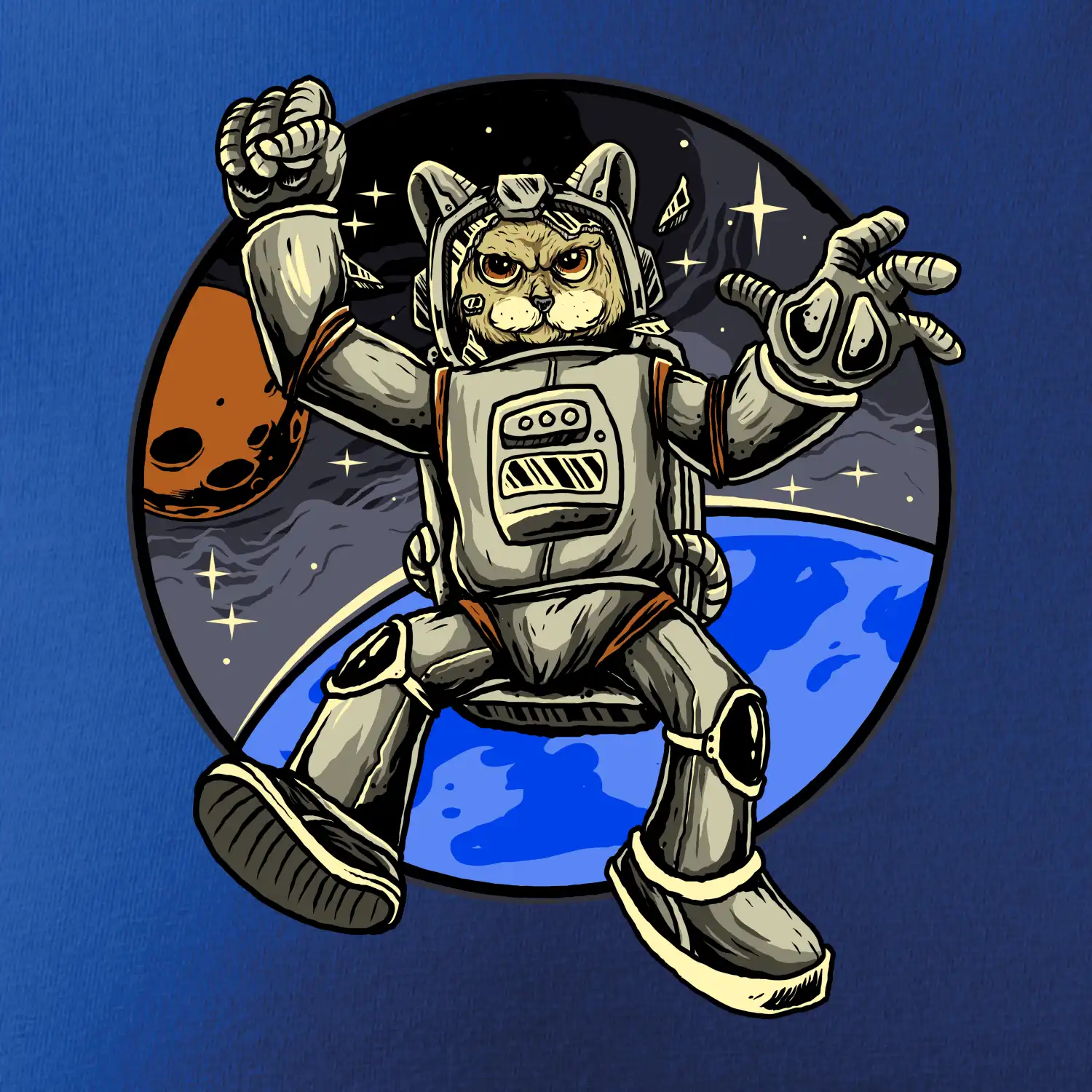 Kočičí astronaut