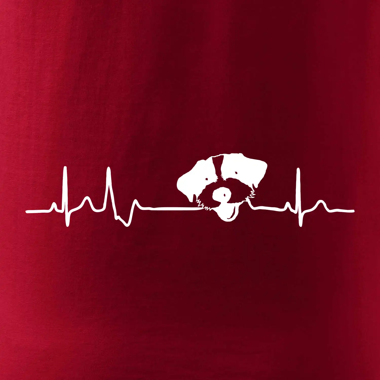 Jack Russell Terriér hrubosrstý Ekg