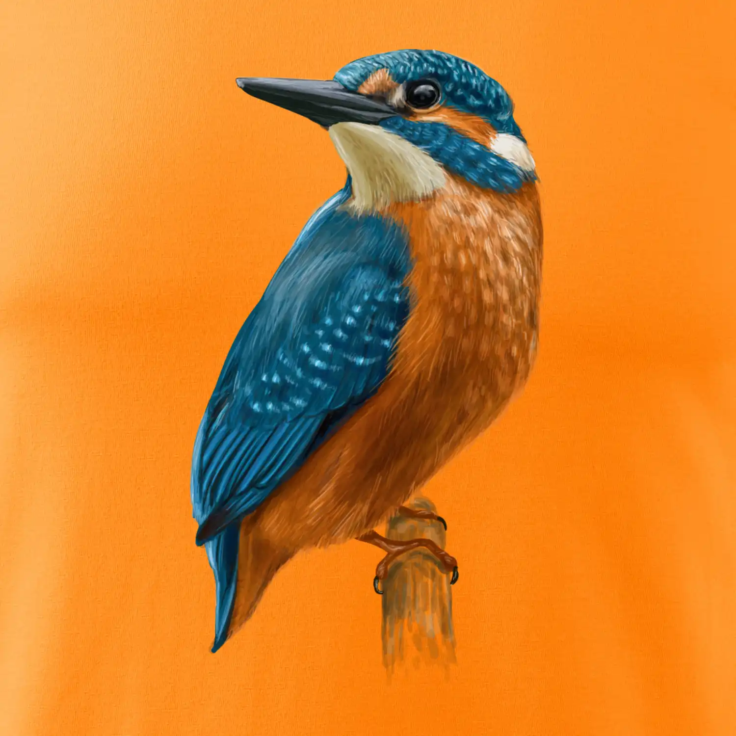 Lednáček kreslený