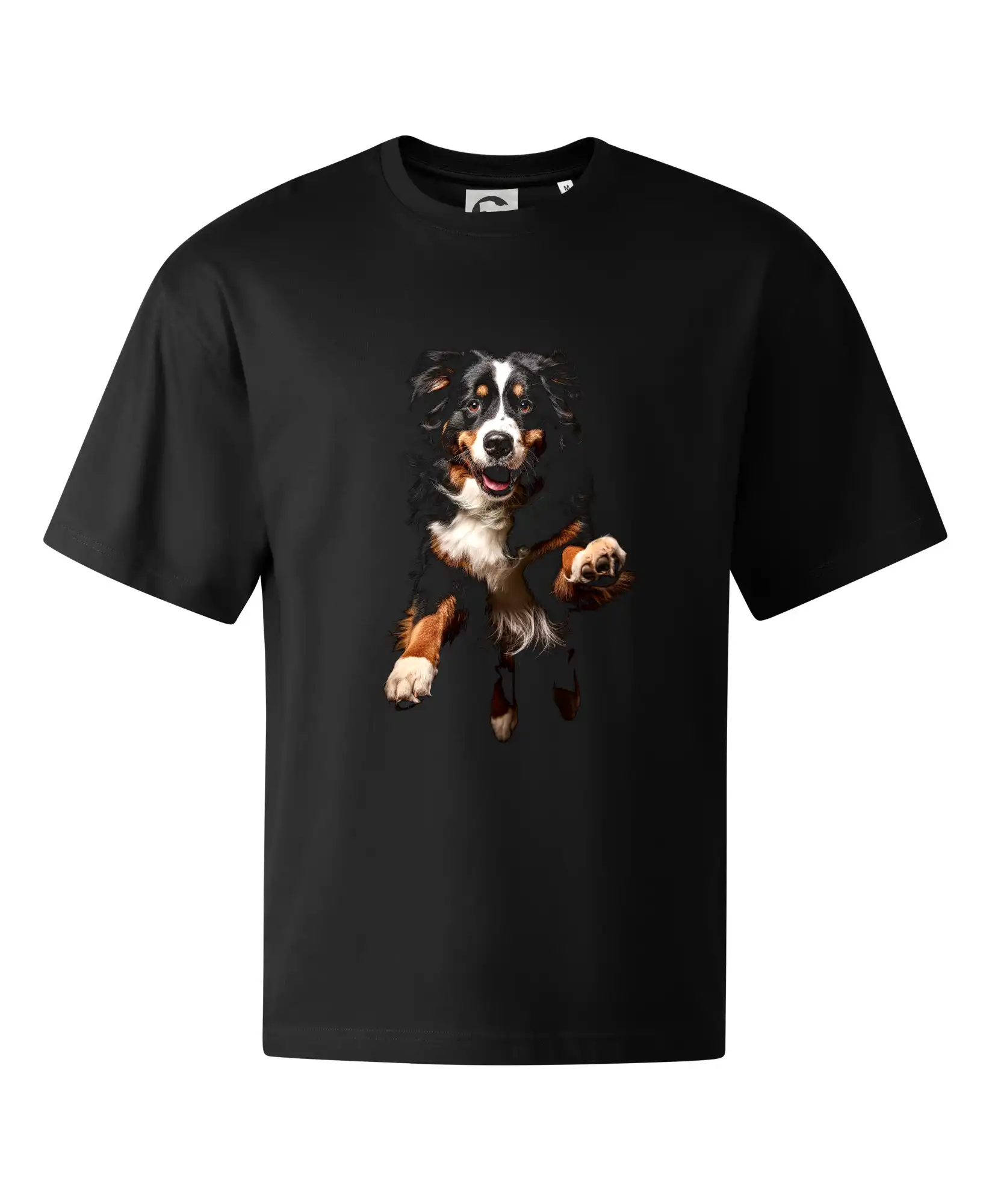 Bernský salašnický pes skakájící černá fotka