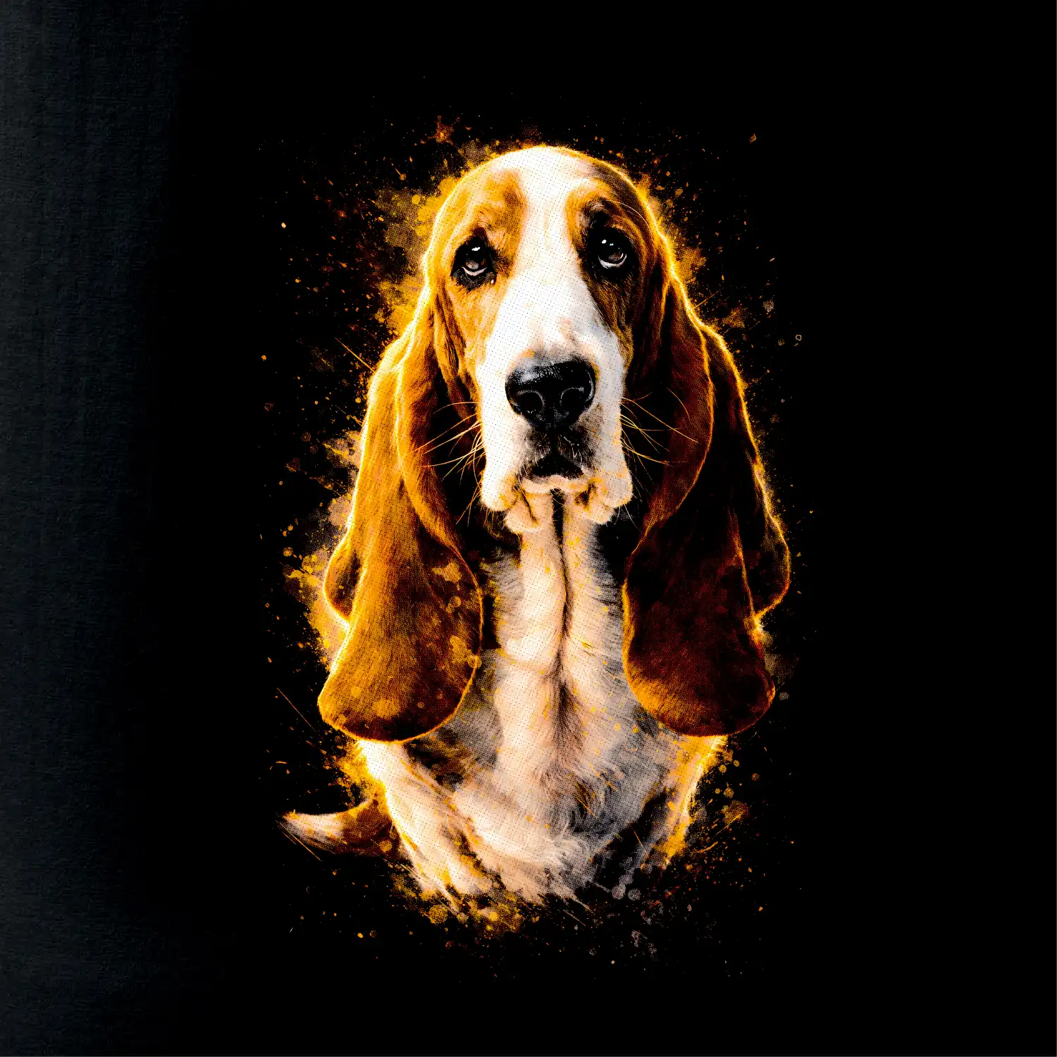 Obrázek polotón Basset sedící