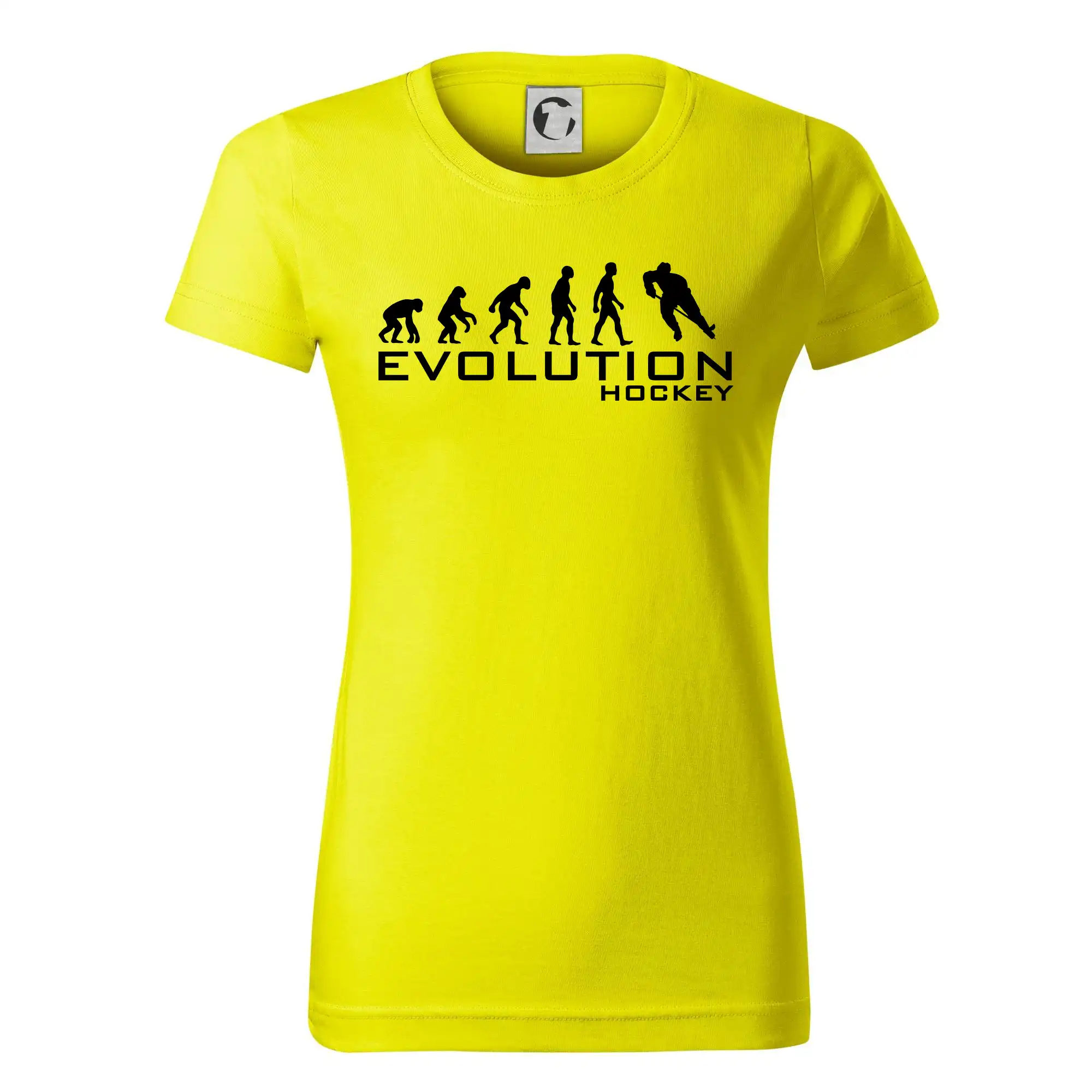 Evoluce Hockey - hráč