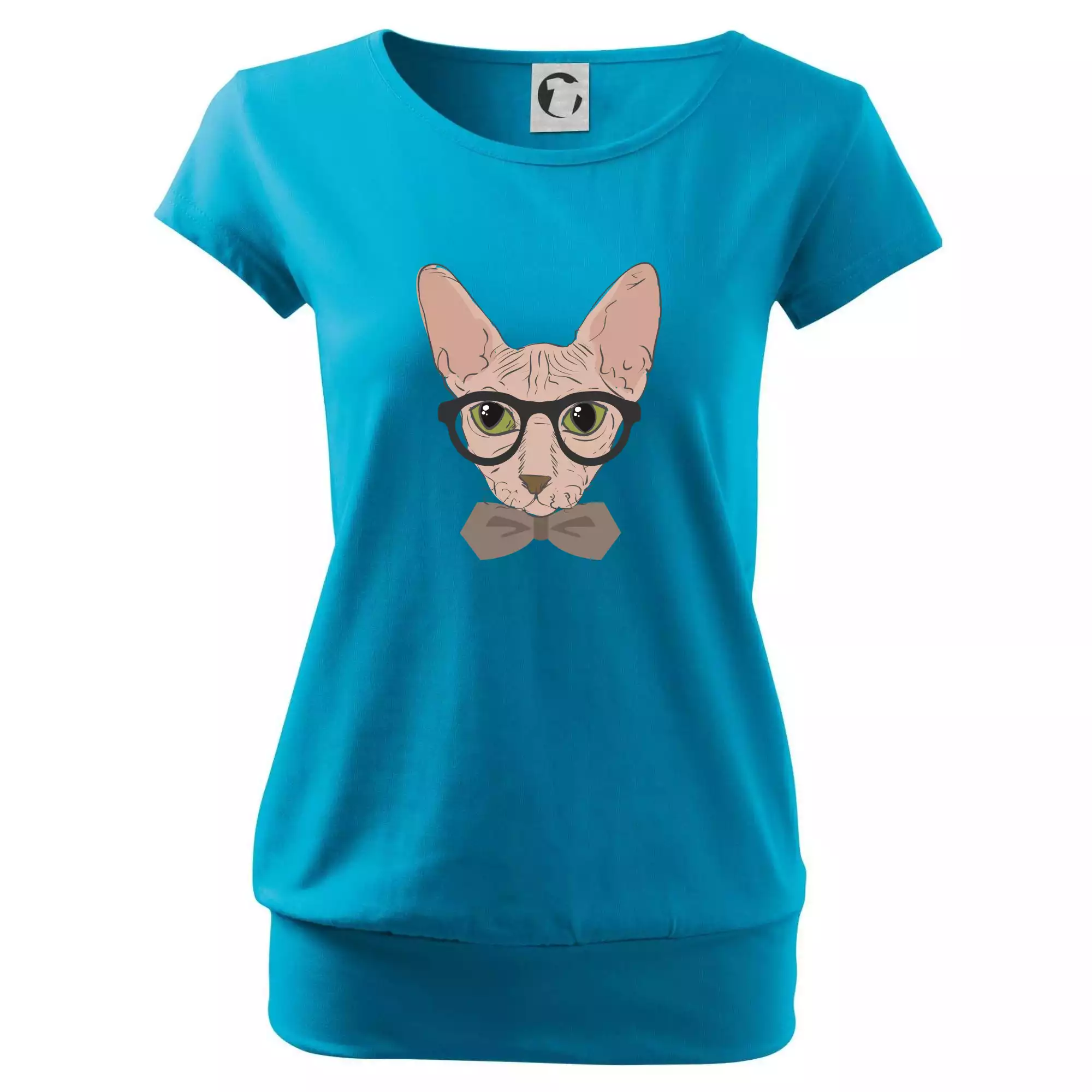 Hipster sphynx