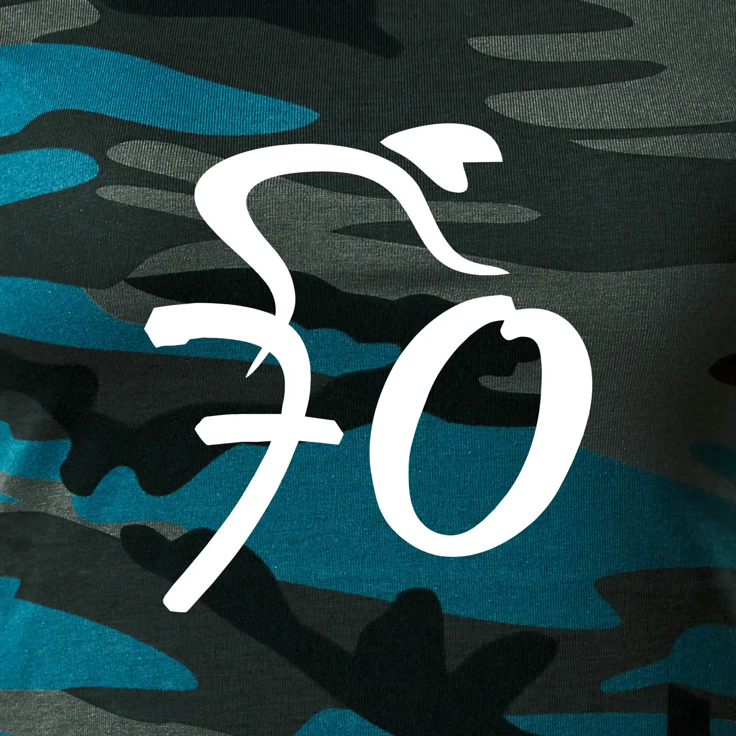 Cyklista slaví sedmdesátku (70)