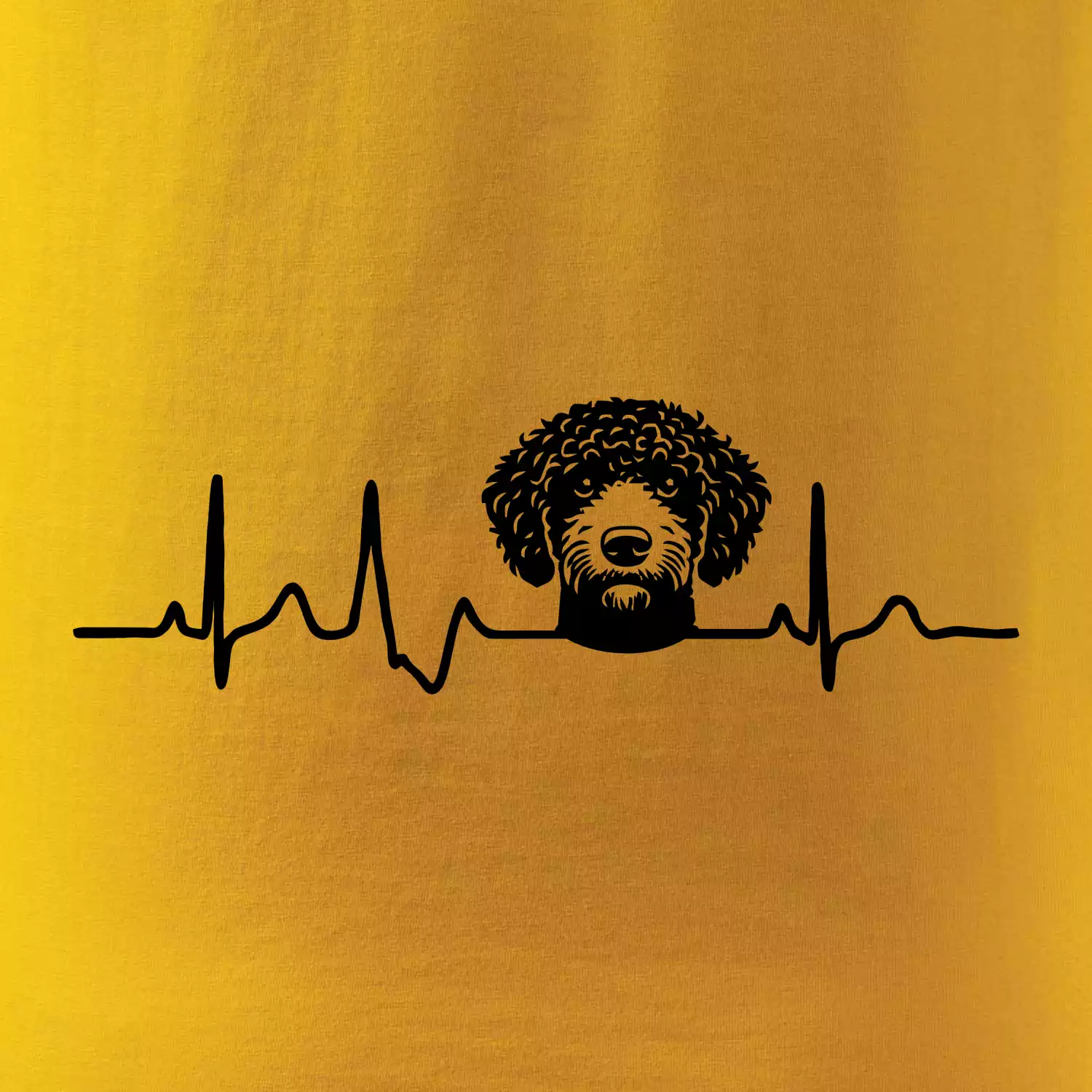 Lagotto romagnolo hlava EKG