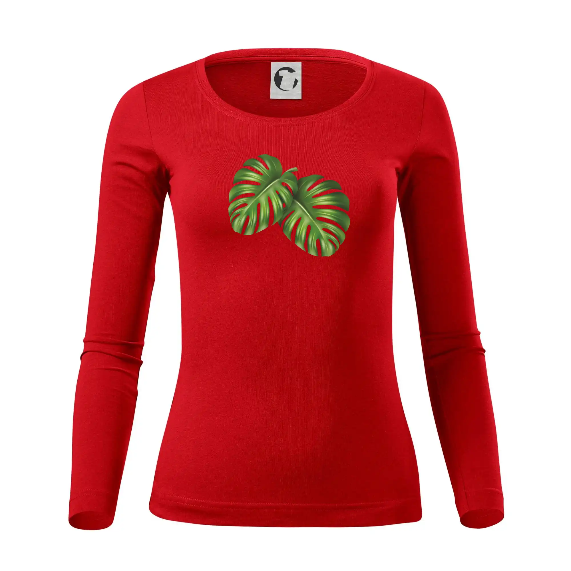 Monstera - dva listy