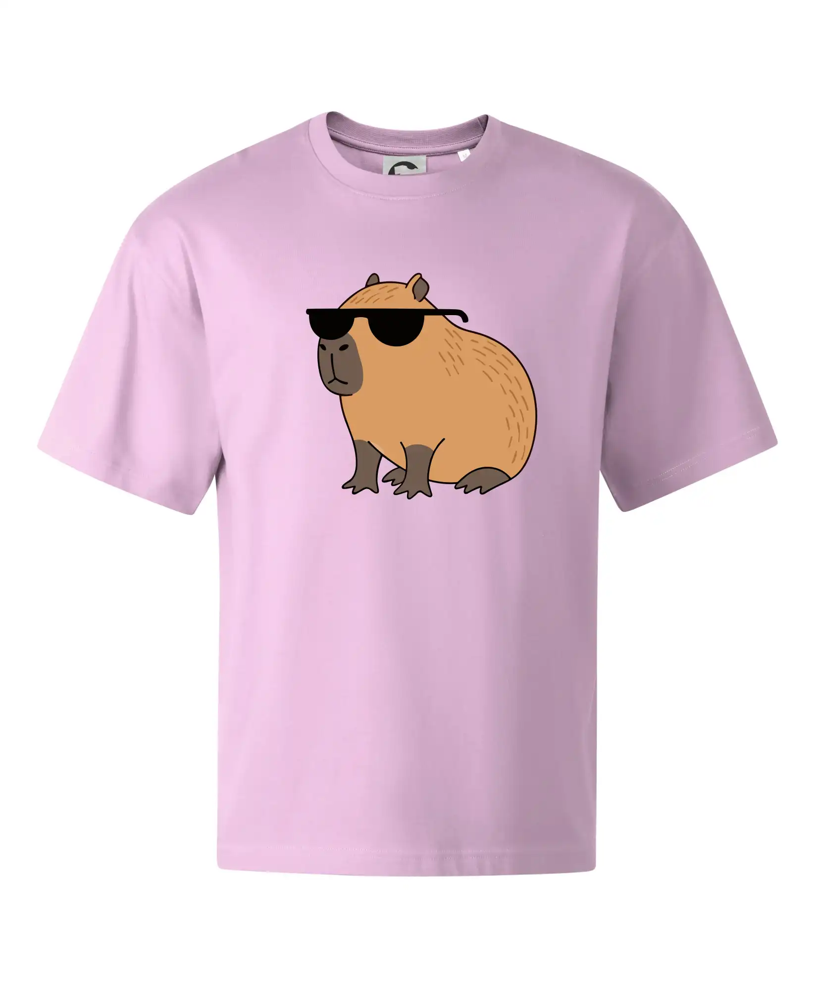 Hustá kapybara