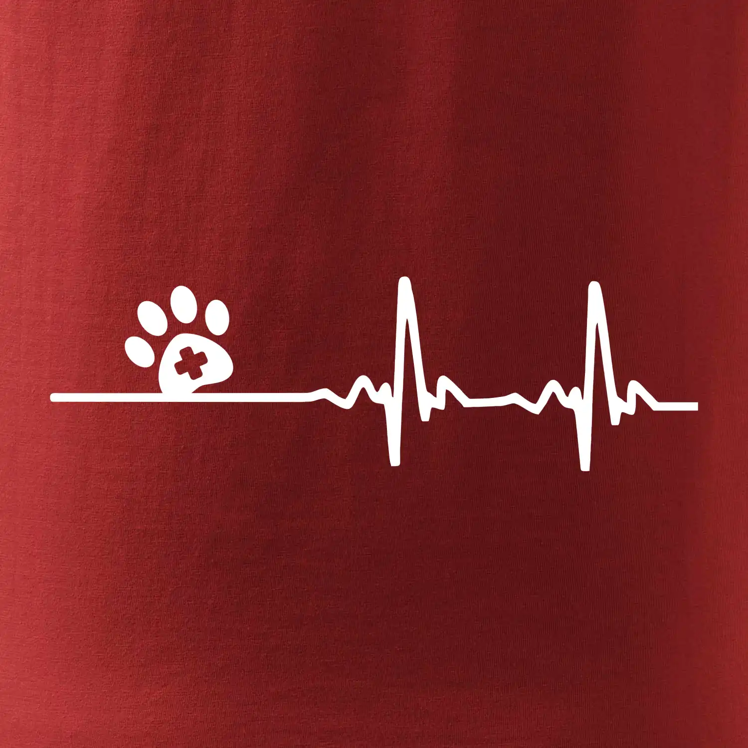 Veterinář EKG