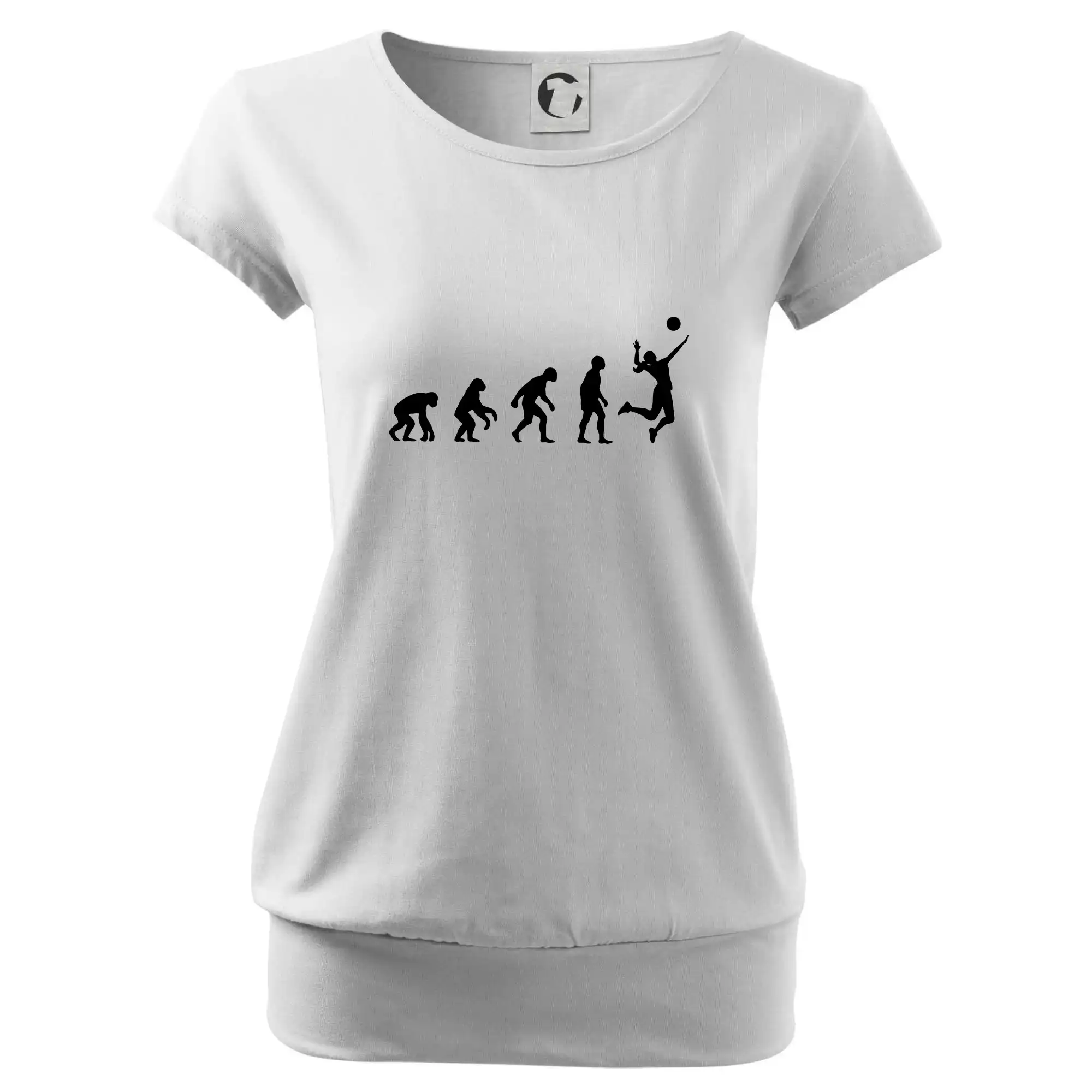 Evoluce volejbal culík