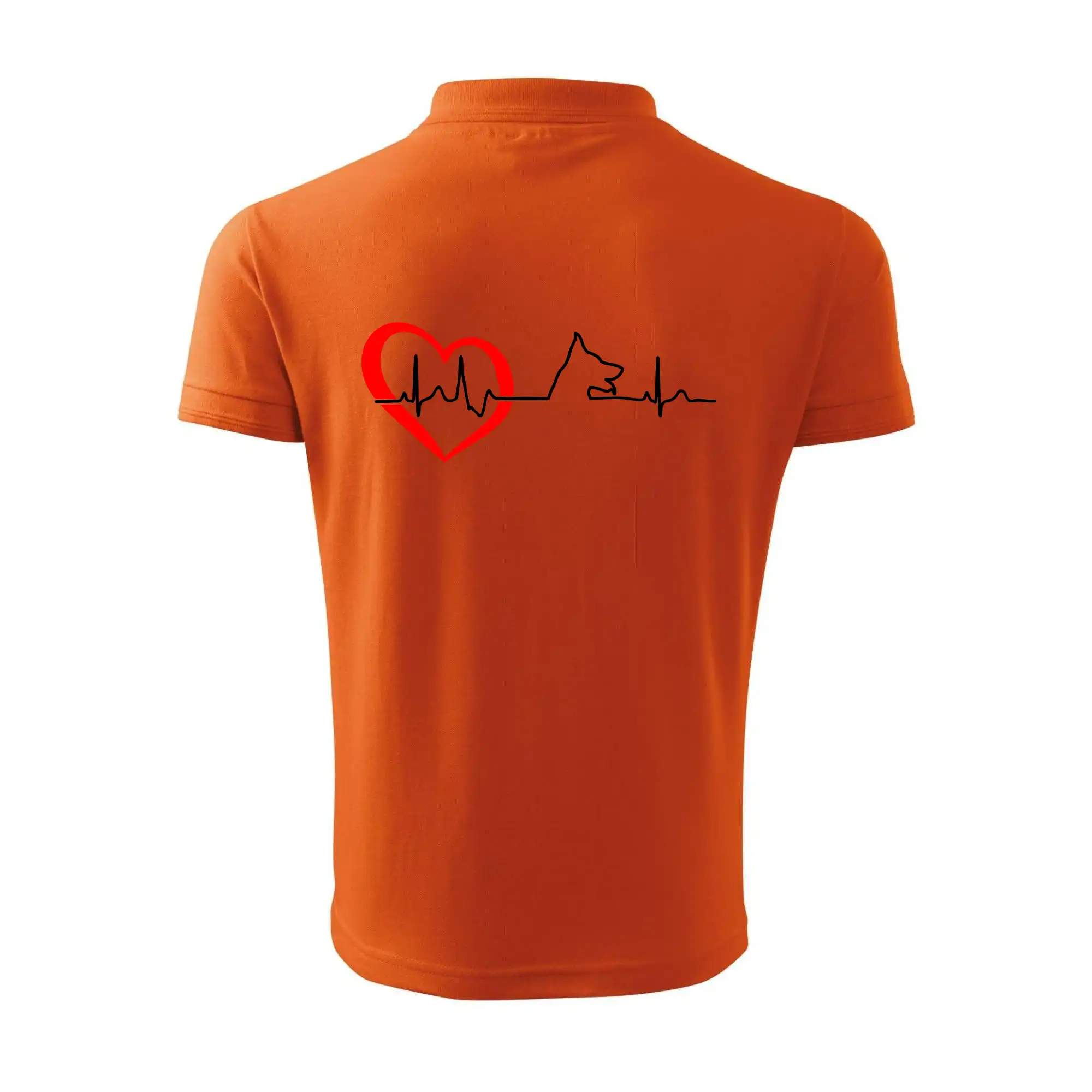 Německý ovčák ekg
