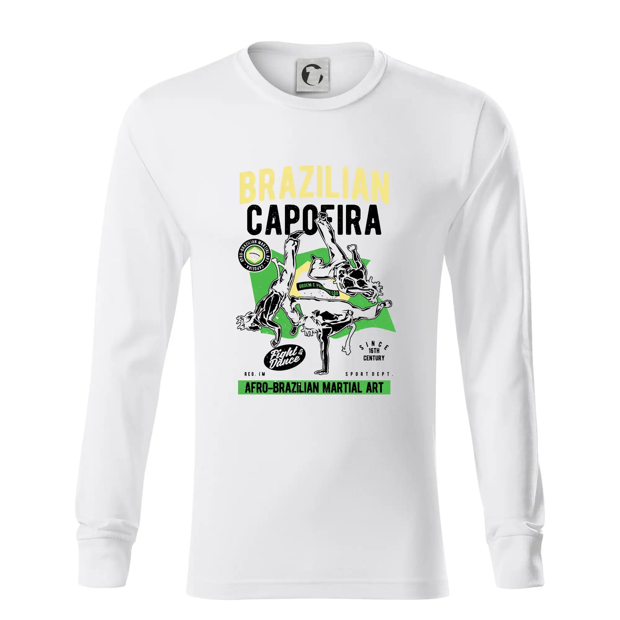 Brazilian Capoeira