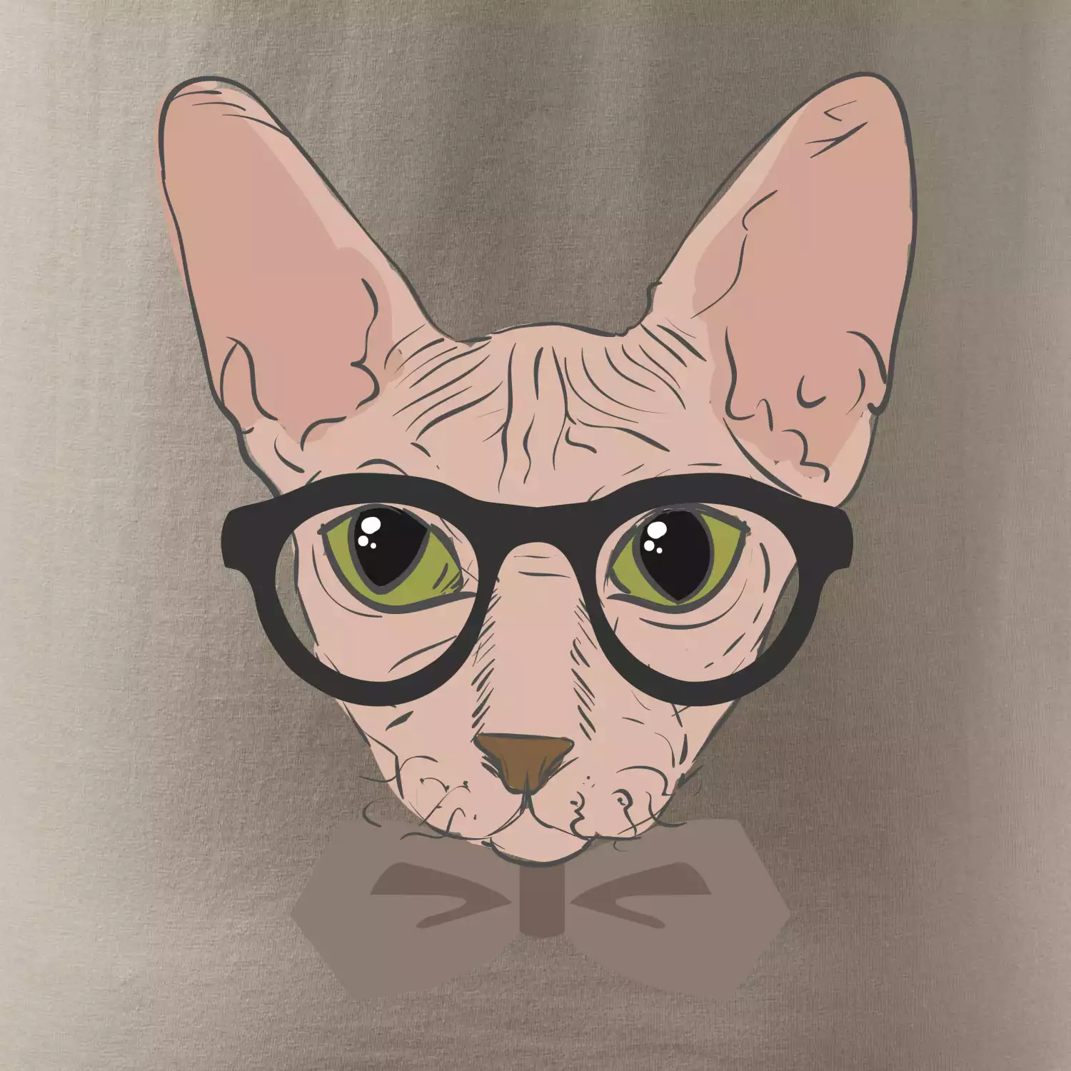 Hipster sphynx