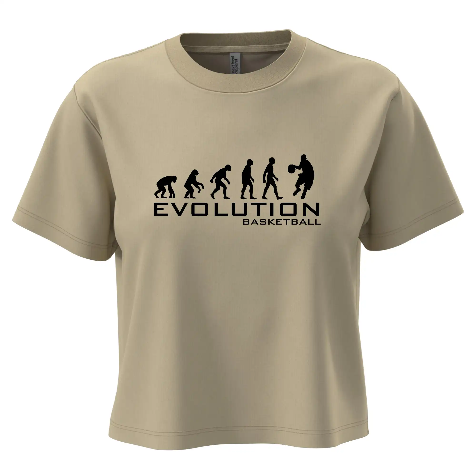 Evoluce Basketball