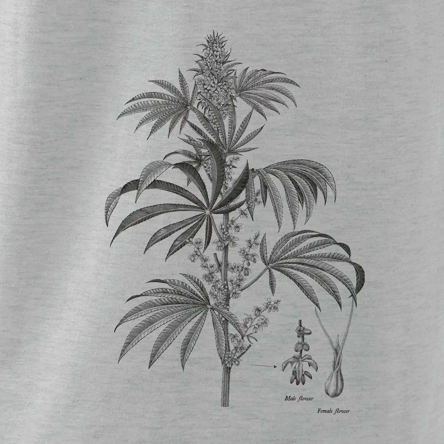 Konopí kytka černobílá