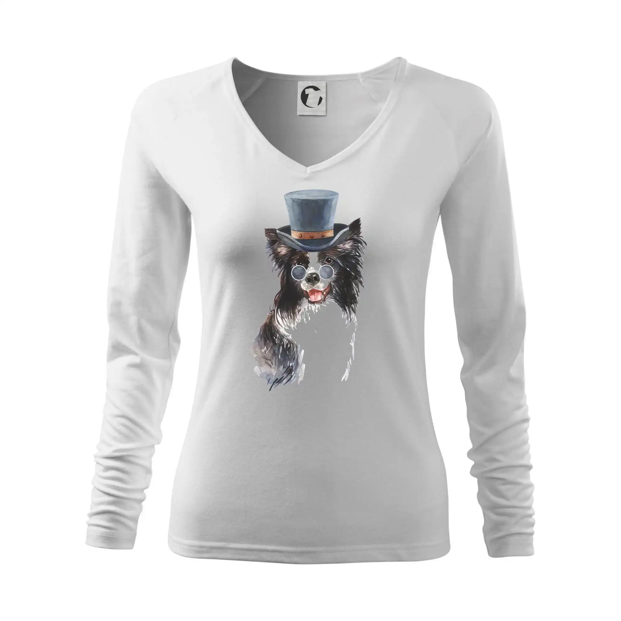 Border kolie v klobouku