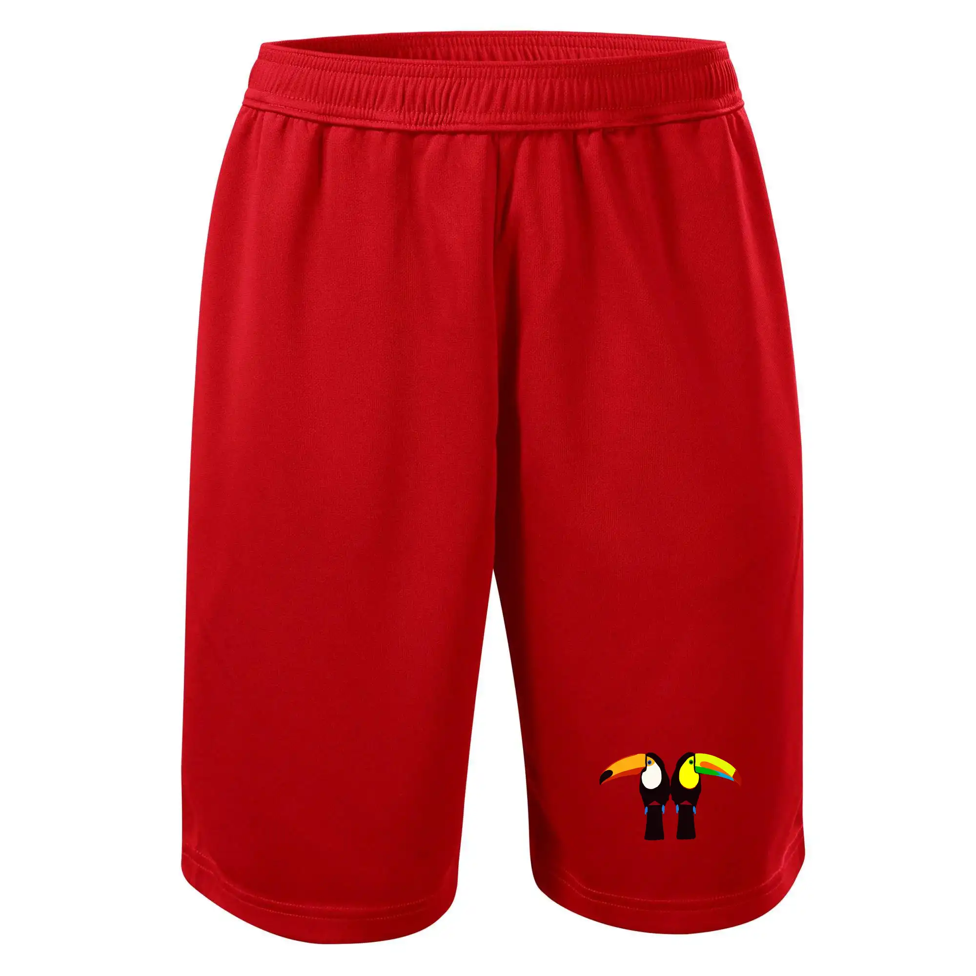 Dva barevní tukani (Moňas)