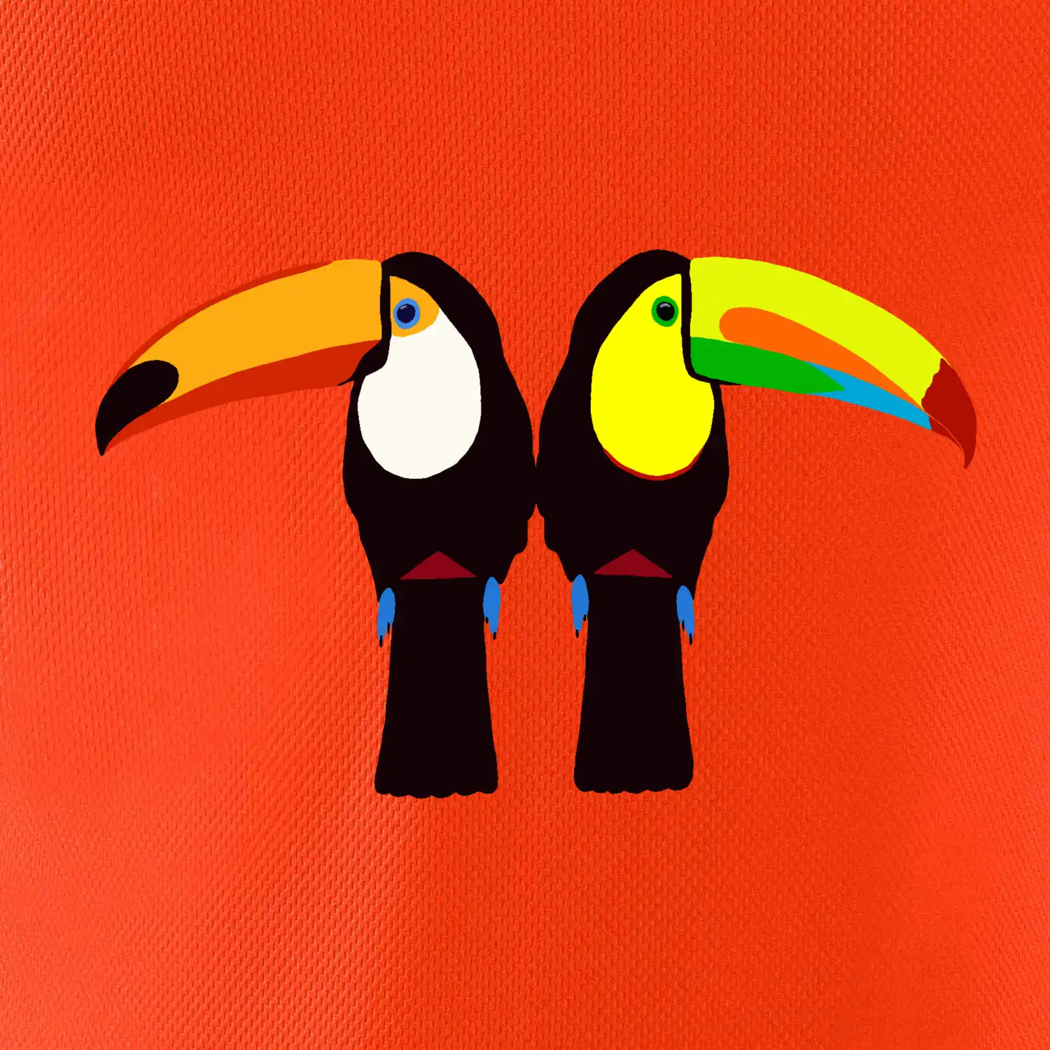 Dva barevní tukani (Moňas)