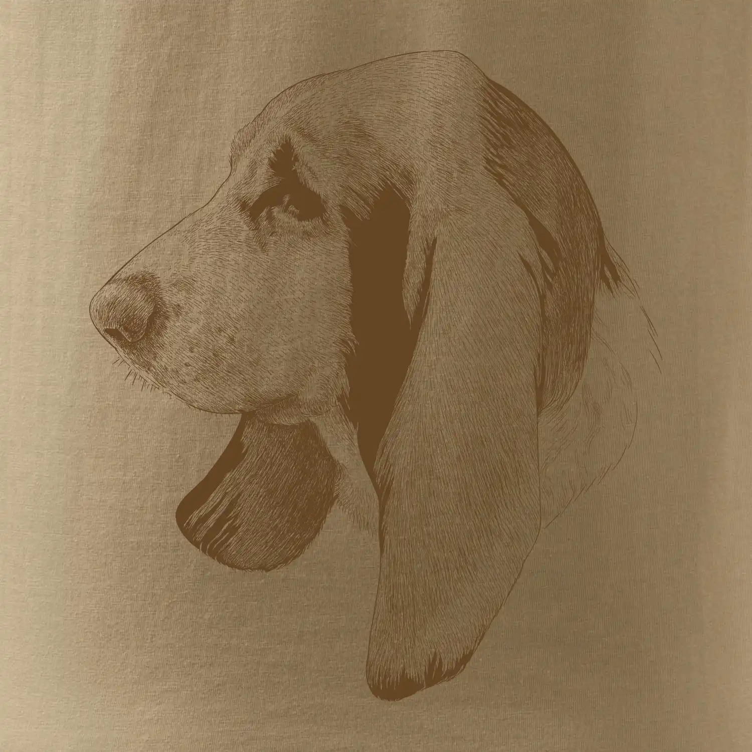 Basset - kreslená hlava