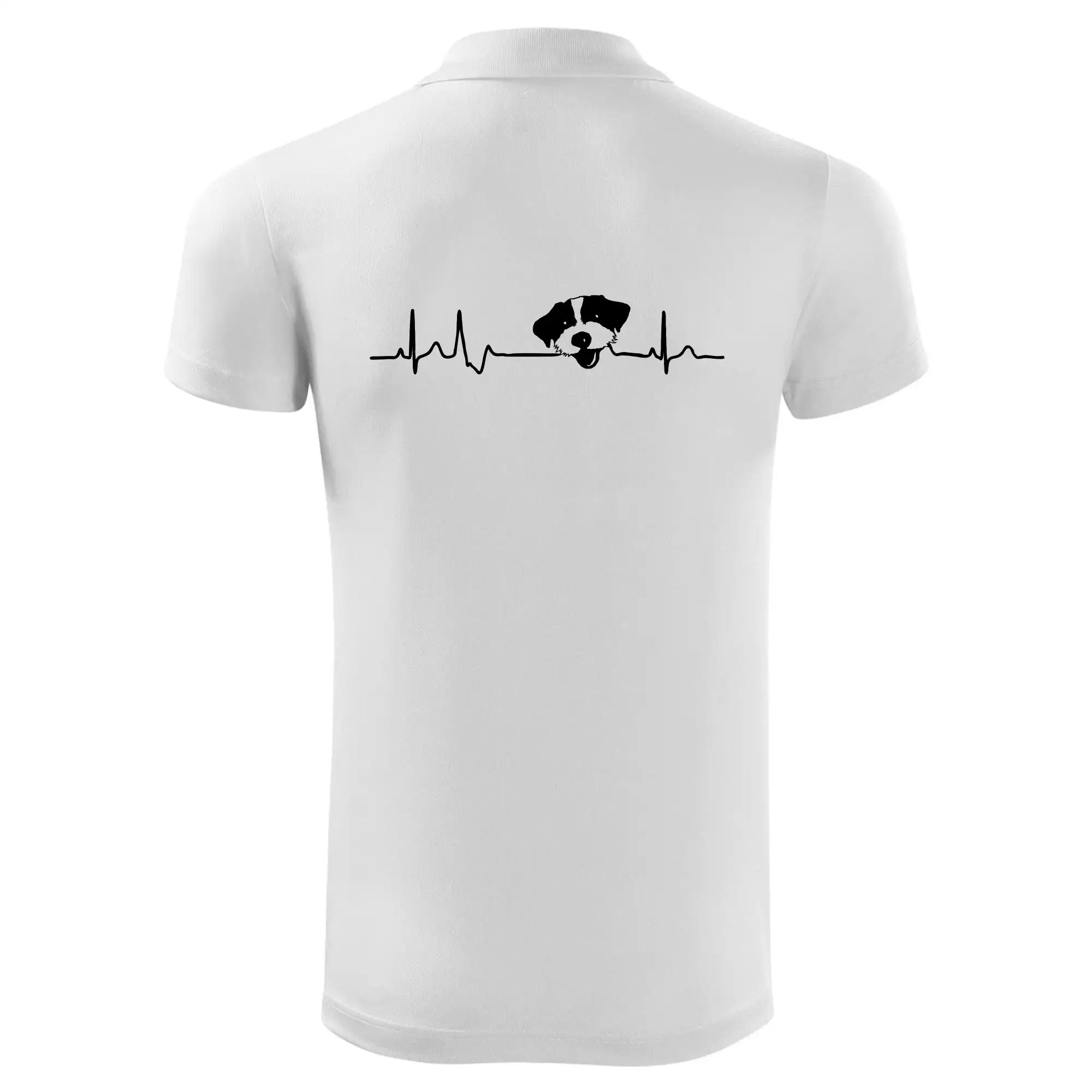 Jack Russell Terriér hrubosrstý Ekg