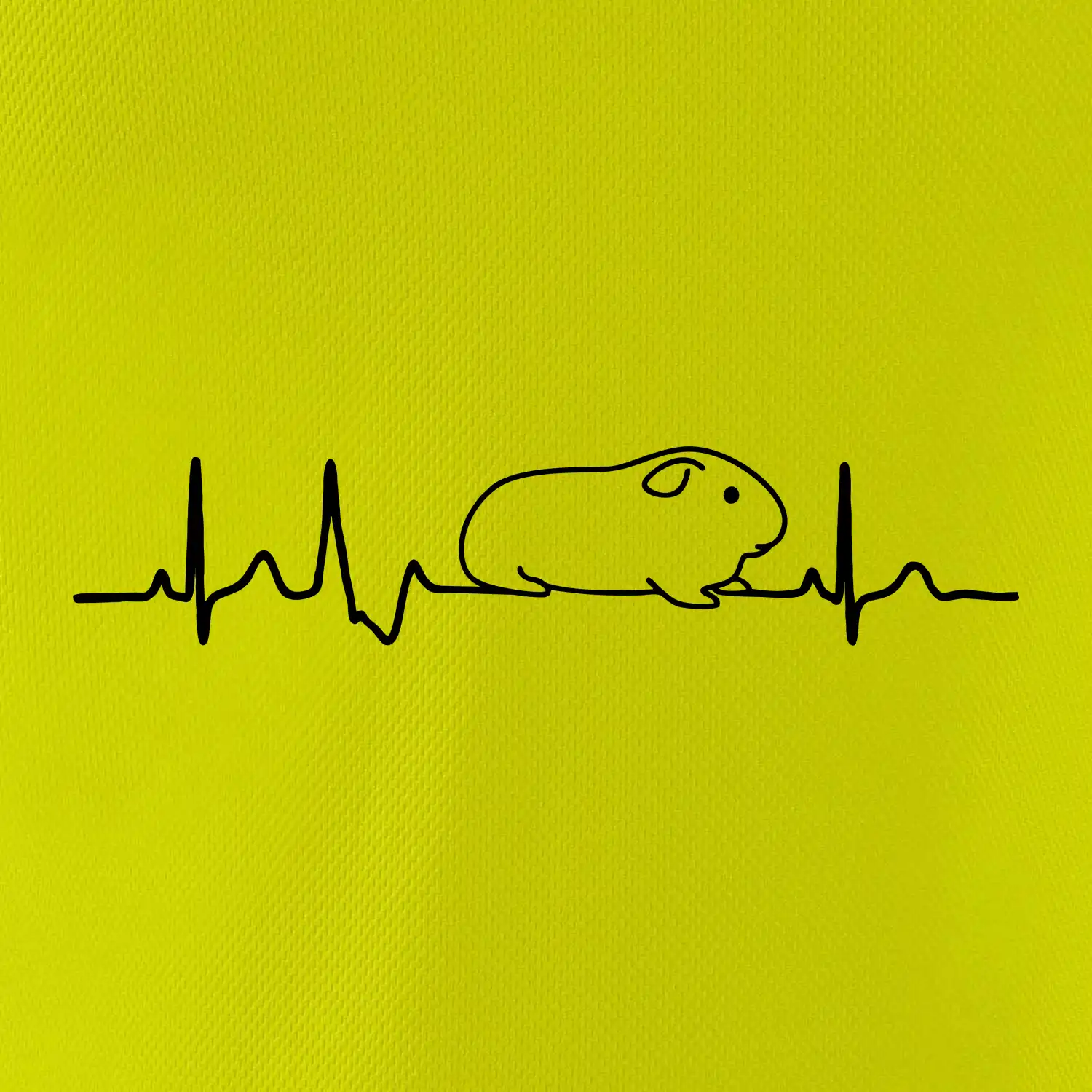 EKG morče