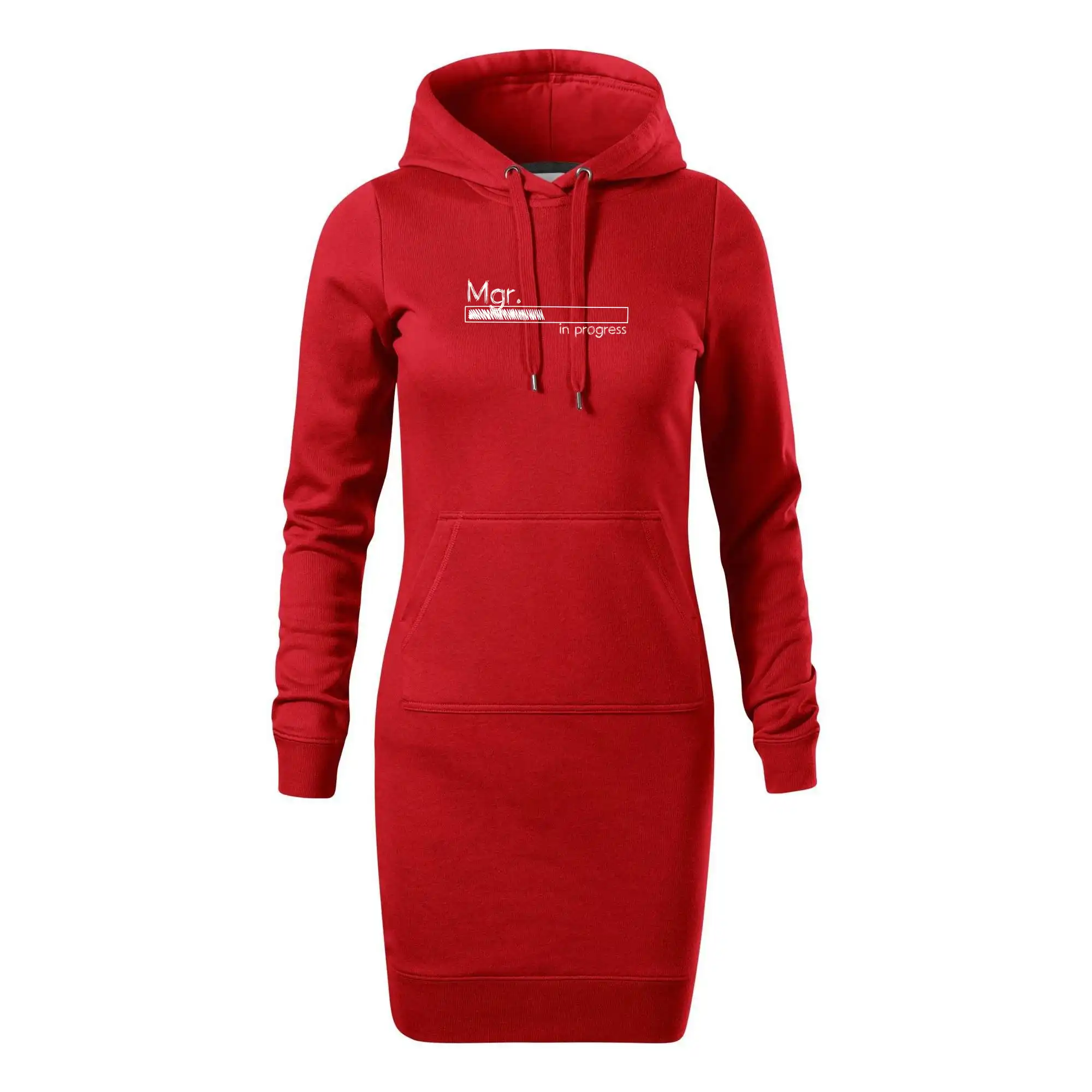 In progress titul Mgr.  magistr / magistra