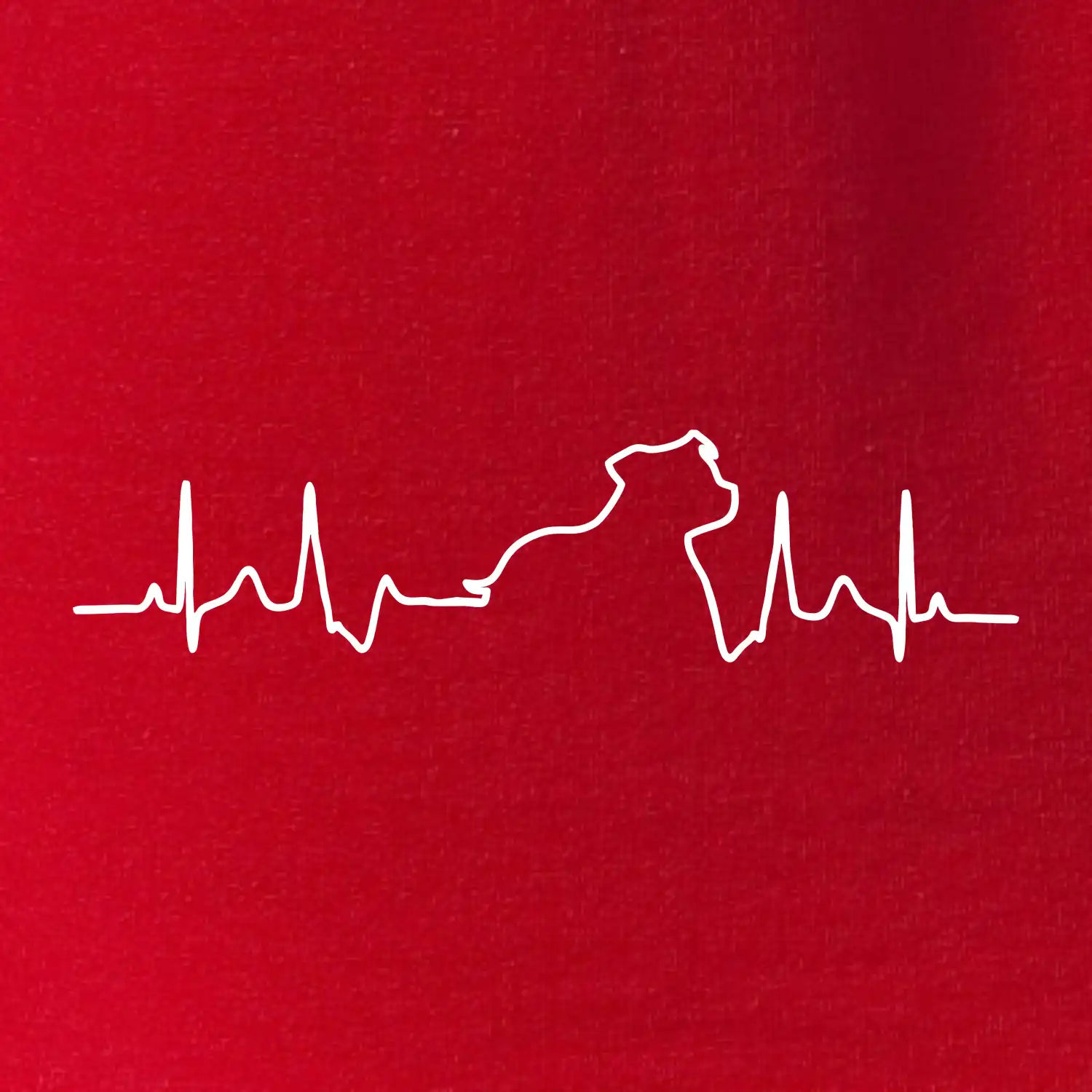 Stafordšírsky bulteriér ‎ EKG