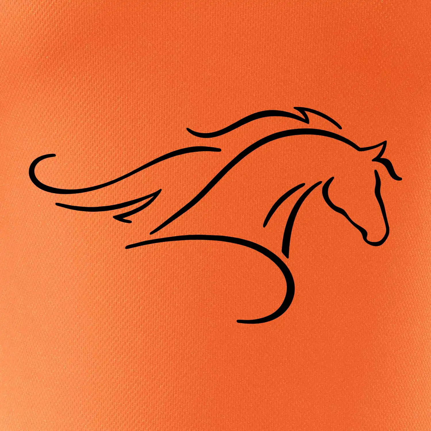 Kůň - bežící silueta hlavy